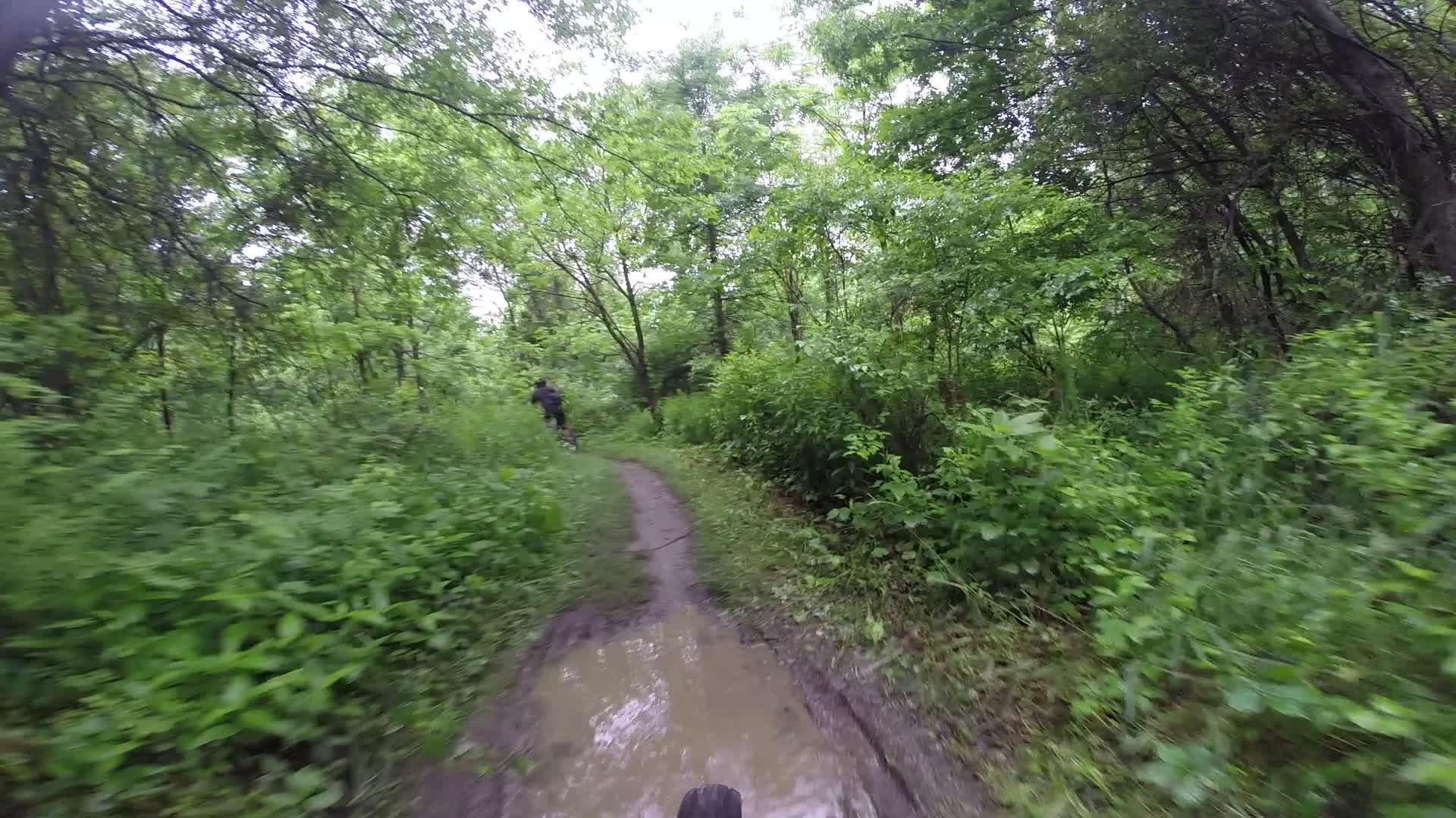 A mountain biker navigating a muddy trail surrounded by lush green foliage and trees in a dense forest. Stewart State Forest mountain bike trail.