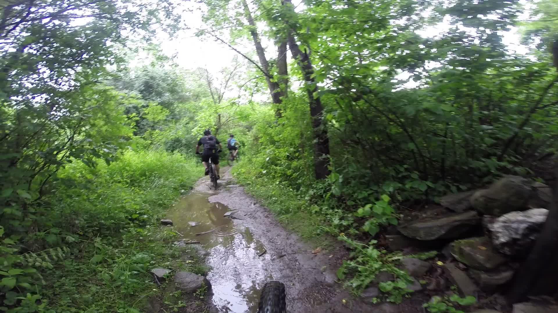 Two mountain bikers navigate a muddy trail surrounded by lush green vegetation and trees. The path is narrow and features puddles from recent rainfall, with rocks visible along the edges. The scene conveys a sense of adventure in a natural outdoor setting. Stewart State Forest mountain bike trail.