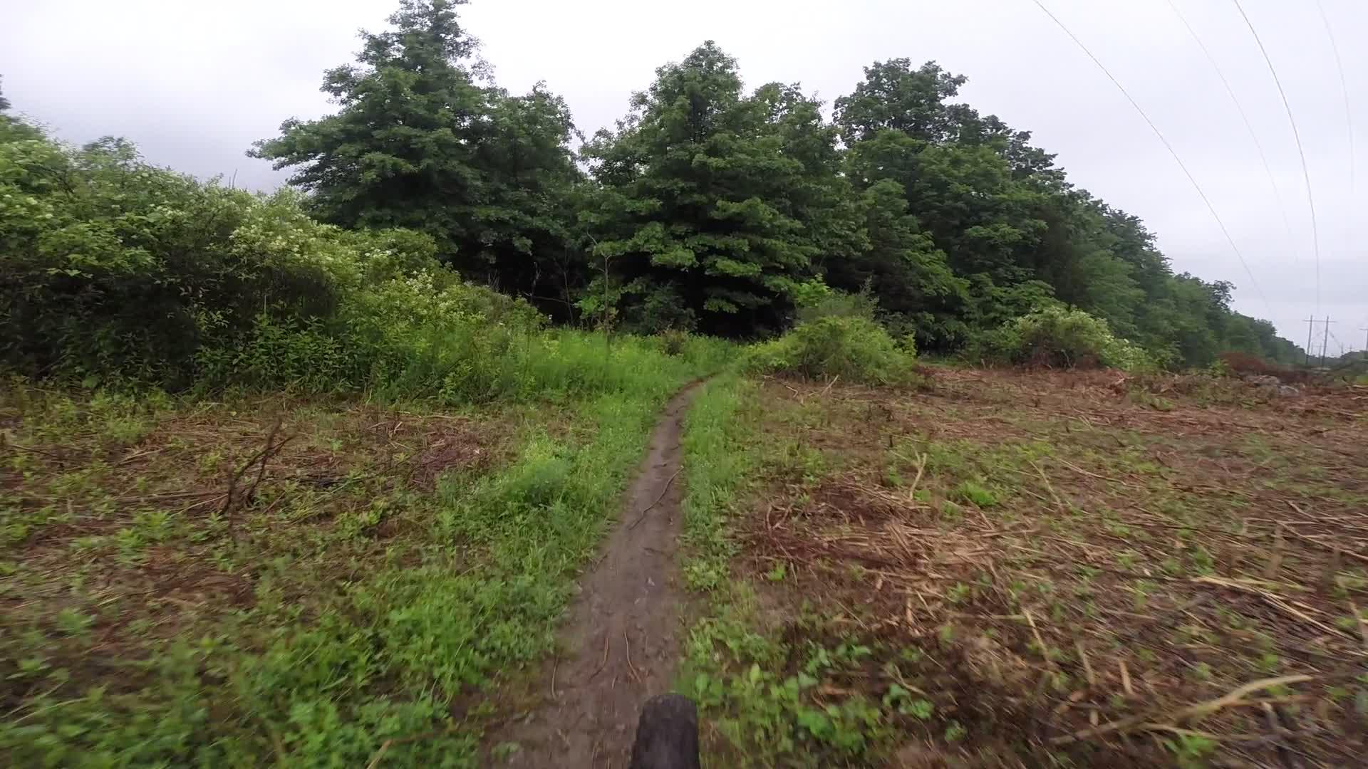 A narrow dirt path winding through lush greenery, surrounded by tall trees and foliage. The overcast sky hints at a recent rain, and the terrain appears slightly muddy. The area shows signs of recent clearing, with some brush and fallen branches visible along the sides of the trail.  Stewart State Forest mountain bike trail.