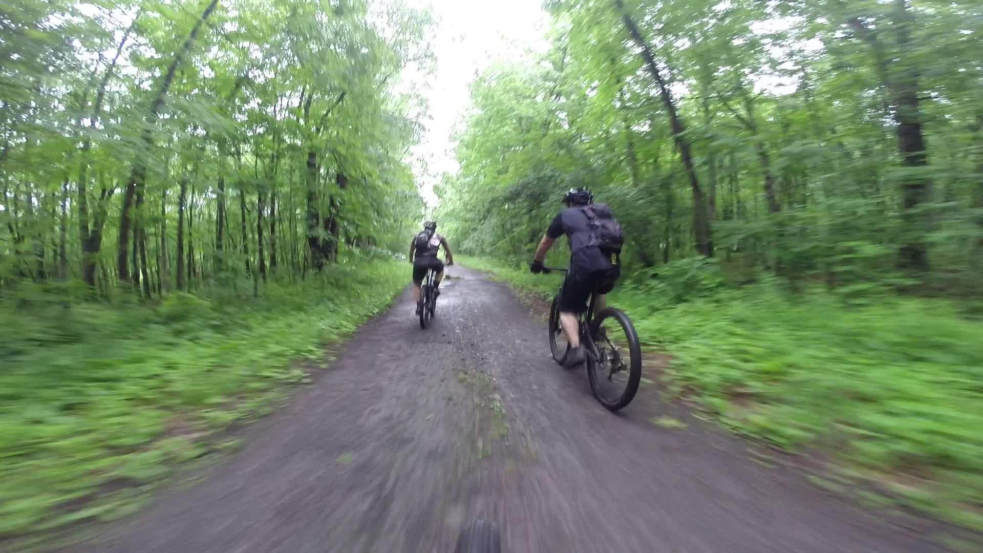 Two cyclists riding on a gravel path through a lush green forest. The trail is surrounded by dense trees and undergrowth, indicating a natural outdoor setting. The image captures a dynamic perspective, emphasizing the motion of the cyclists as they navigate the trail. Stewart State Forest mountain bike trail.
