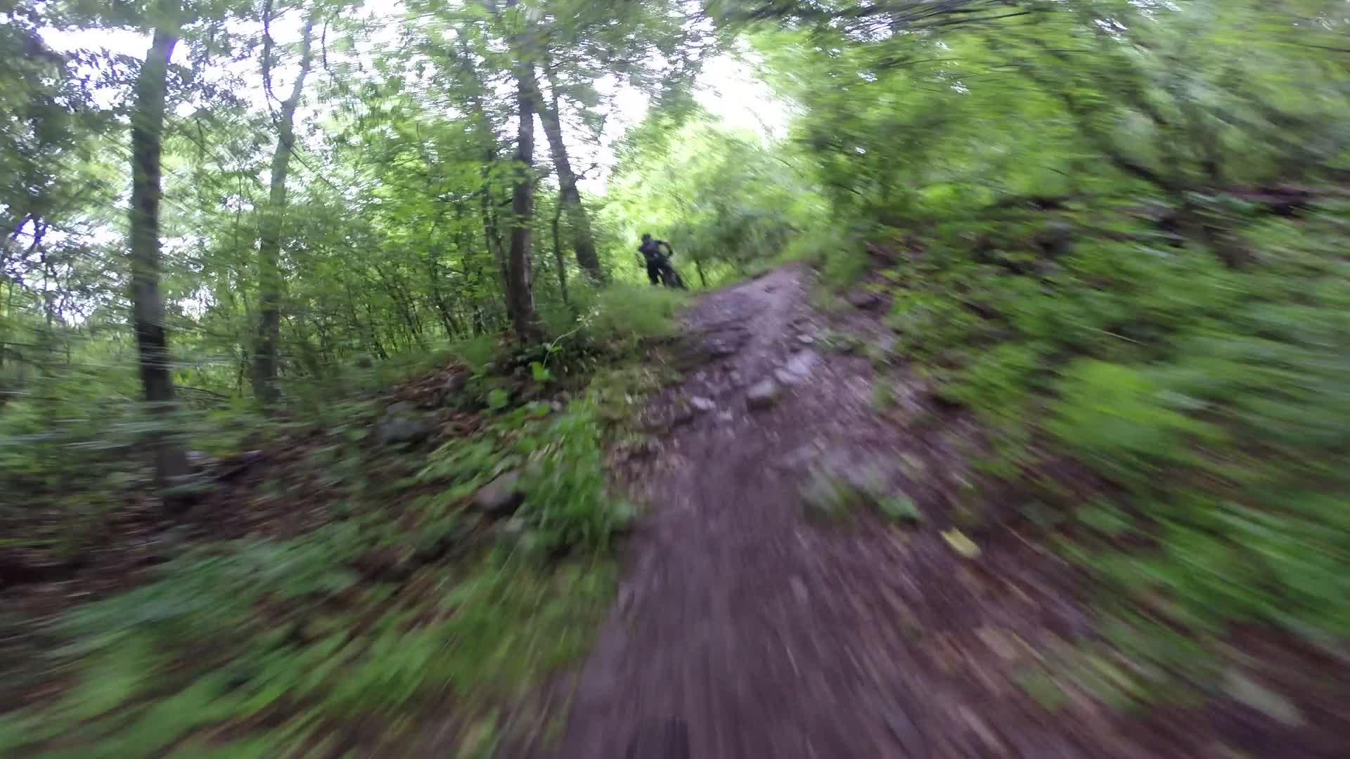 A blurred image of a winding dirt trail through a lush green forest, with trees and vegetation surrounding the path. In the background, a person is seen navigating the trail, suggesting an outdoor activity such as hiking or biking. The lighting appears natural and the overall atmosphere conveys a sense of adventure and nature. Stewart State Forest mountain bike trail.