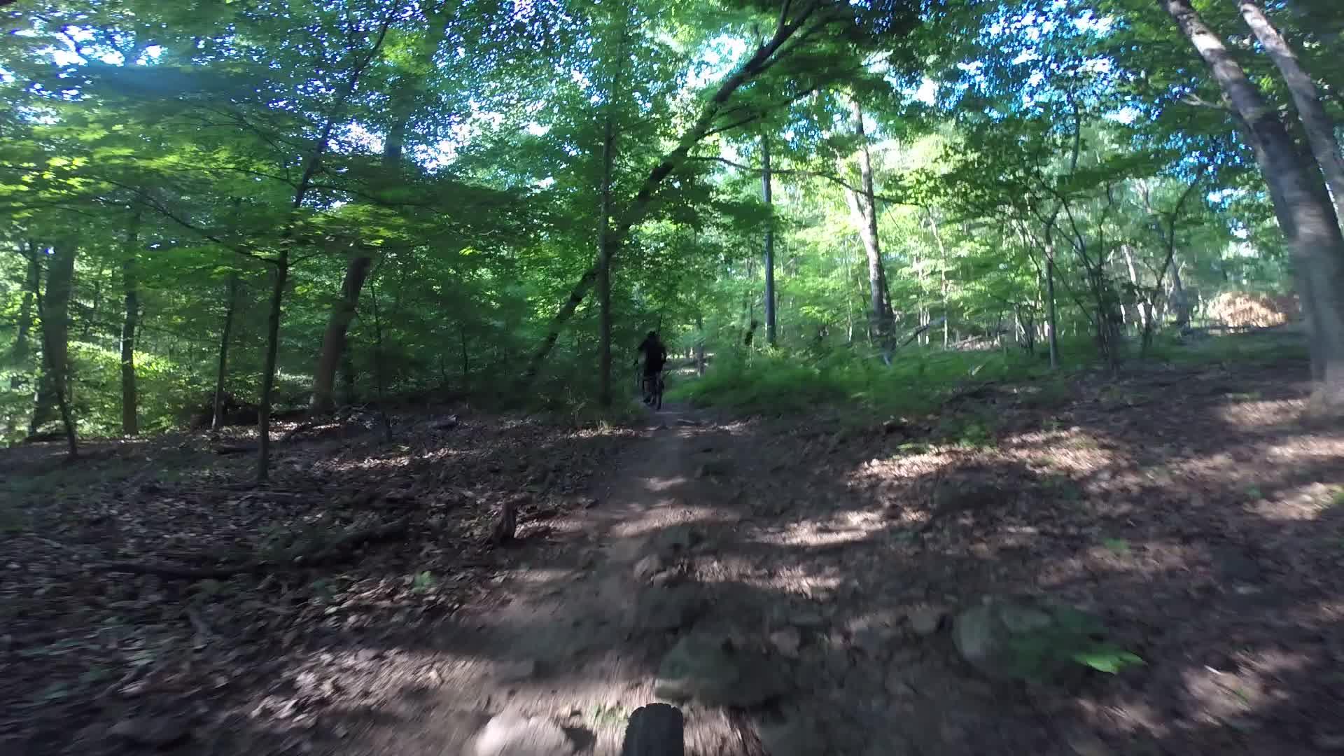A winding dirt trail through a lush green forest, featuring sunlight filtering through the trees. A person riding a mountain bike can be seen ahead, navigating the rugged terrain. The ground is covered with leaves and small rocks, contributing to the natural setting. Washington Valley mountain bike trail.