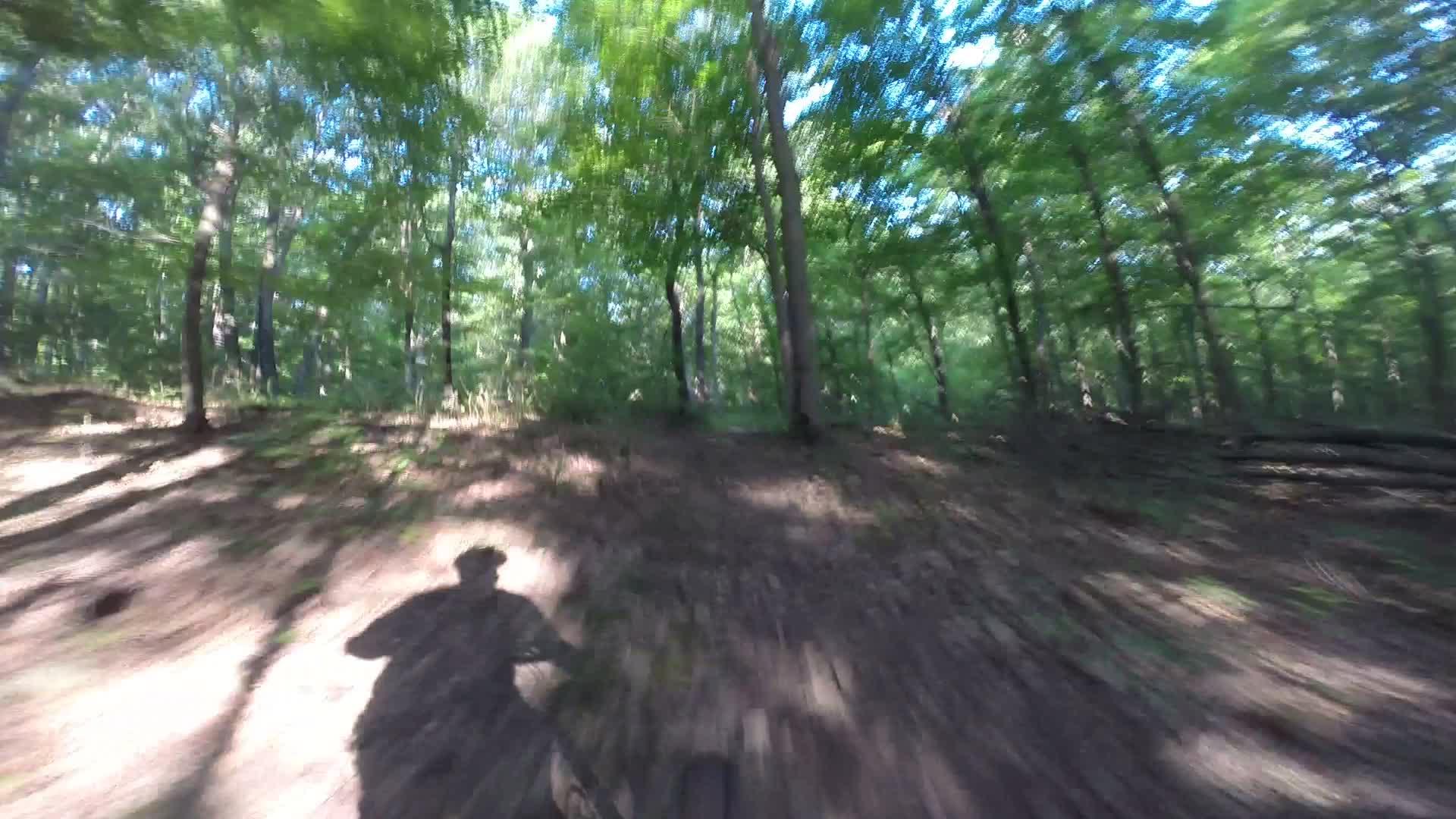 A blurred view of a wooded trail, depicting motion as a cyclist rides through a sun-dappled forest with trees and underbrush visible in the background. A shadow of the cyclist is faintly visible on the ground. Washington Valley mountain bike trail.