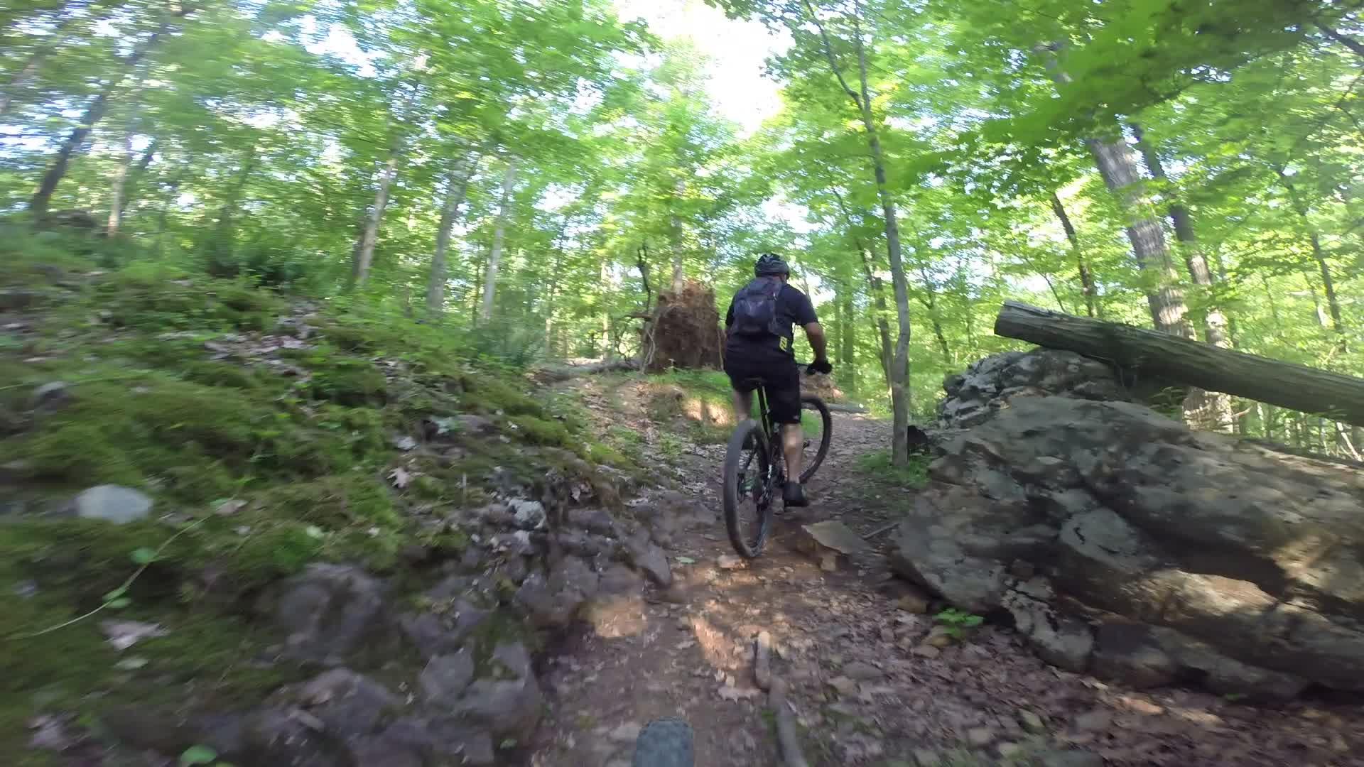 A mountain biker navigating a rugged trail through a lush green forest, surrounded by trees and rocky terrain. The path consists of dirt, stones, and patches of moss, with sunlight filtering through the canopy above. Washington Valley mountain bike trail.