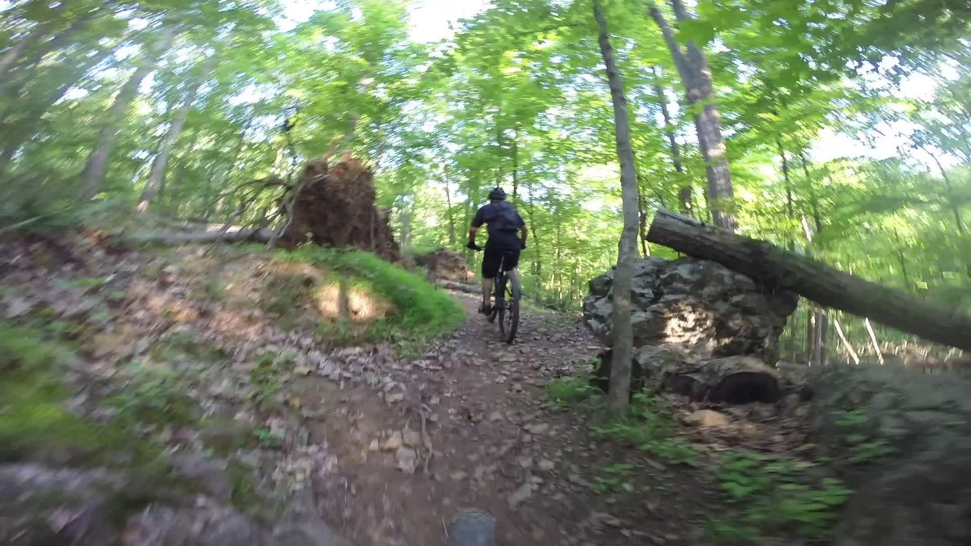 A cyclist riding a mountain bike on a rocky trail surrounded by lush green trees in a forest. Sunlight filters through the leaves, creating a vibrant and natural atmosphere. Washington Valley mountain bike trail.