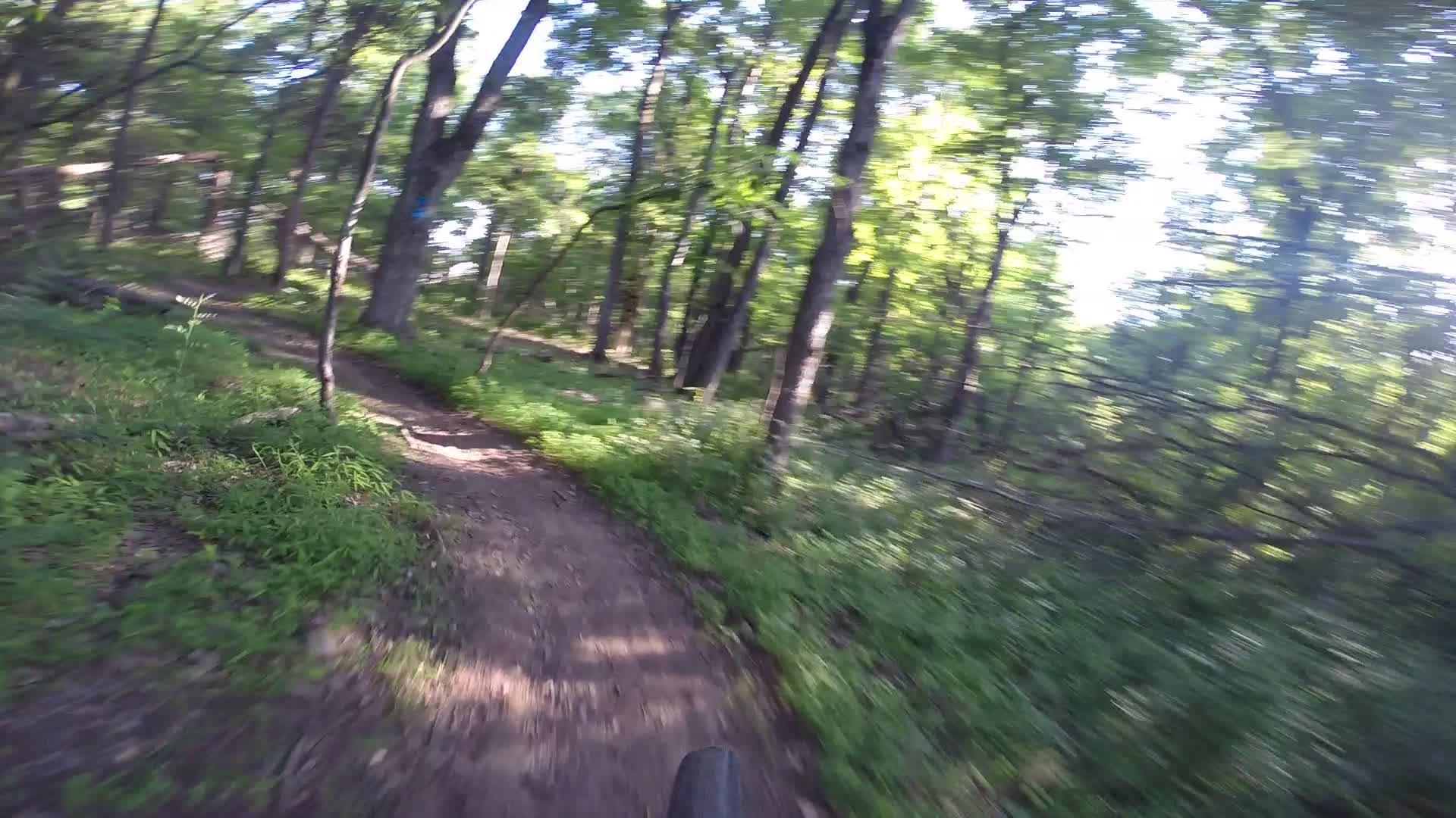 A blurred view of a dirt trail winding through a lush green forest, with tall trees and vibrant foliage surrounding the path, suggesting a biking or hiking experience in nature. Washington Valley mountain bike trail.
