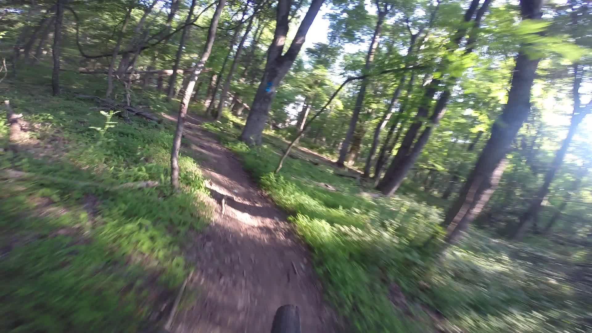 A blurry image capturing a winding dirt path through a lush green forest, with sunlight filtering through the trees, suggesting an adventurous biking or hiking experience. Washington Valley mountain bike trail.