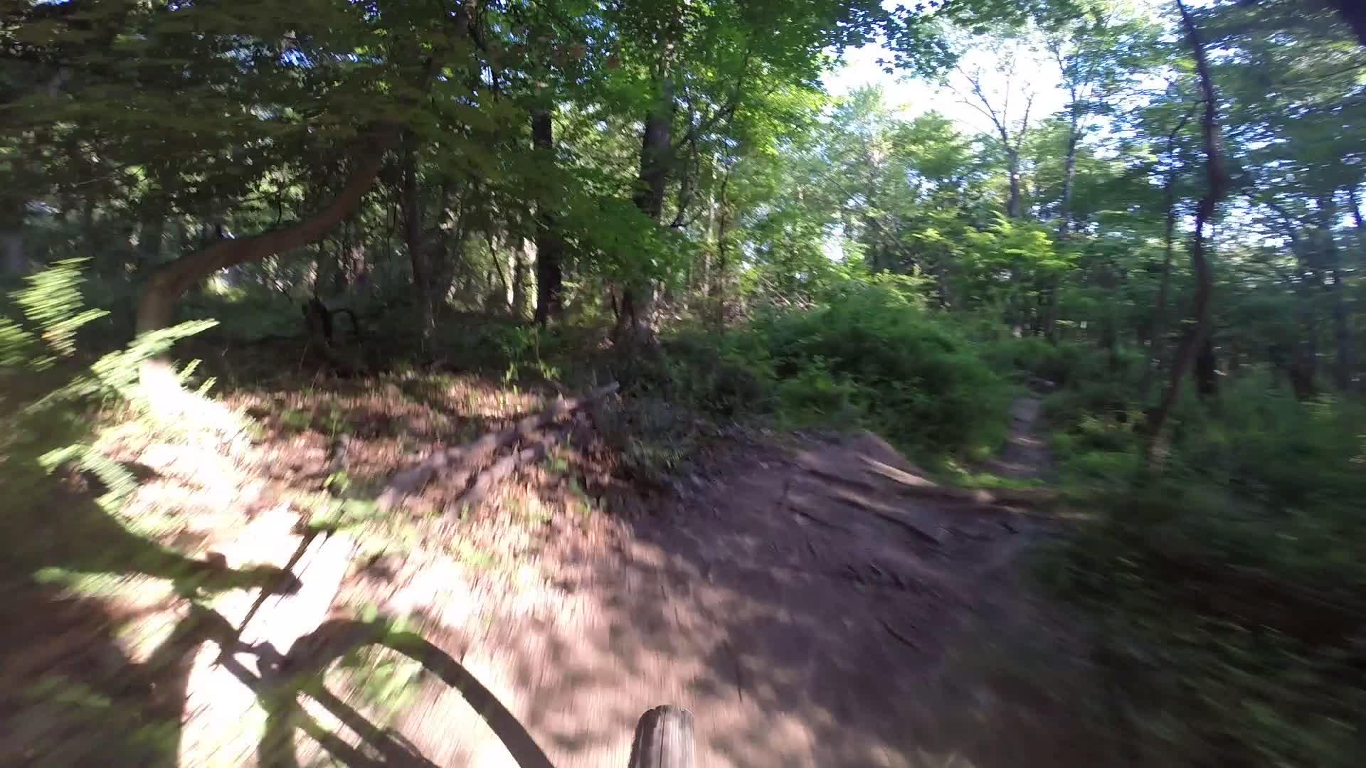 A blurred perspective of a mountain bike riding through a lush, green forest trail, with sunlight filtering through the trees. The trail is uneven with dirt and roots, suggesting an adventurous terrain for cycling. Washington Valley mountain bike trail.