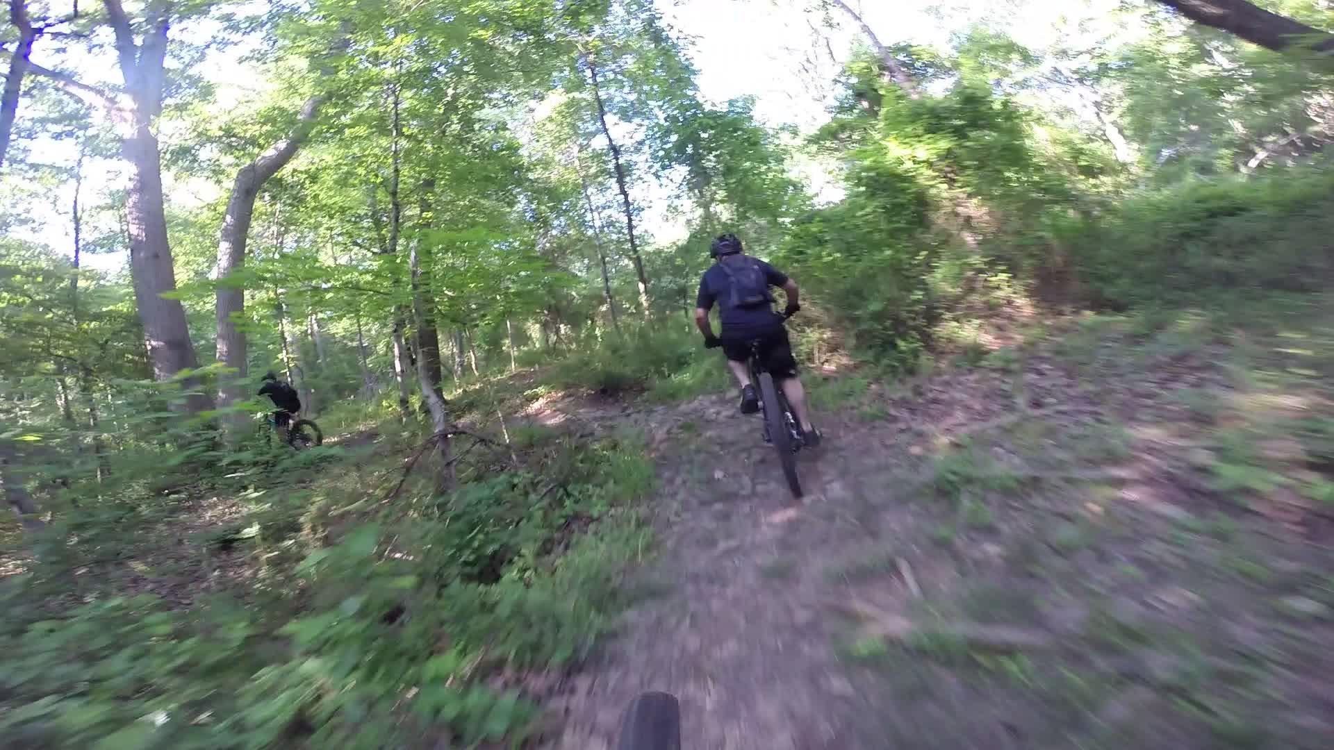 A person riding a mountain bike along a narrow, winding trail in a lush, green forest. Sunlight filters through the trees, illuminating the vibrant foliage and creating a sense of adventure in nature. Washington Valley mountain bike trail.