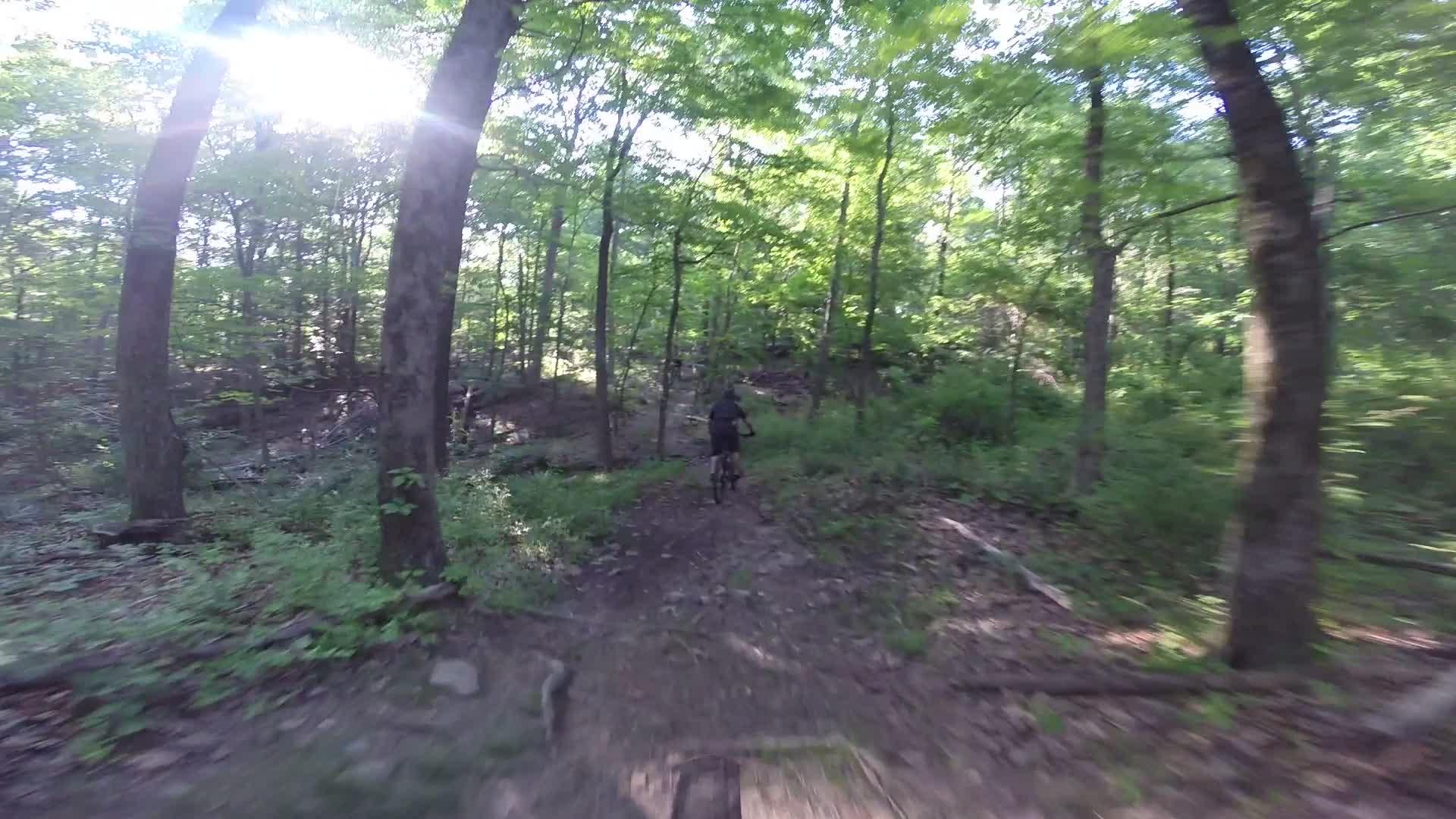 A mountain biker riding along a dirt path through a lush, green forest, with sunlight filtering through the trees. The scene captures the natural beauty of the outdoors, emphasizing the adventure of biking in a wooded area. Washington Valley mountain bike trail.