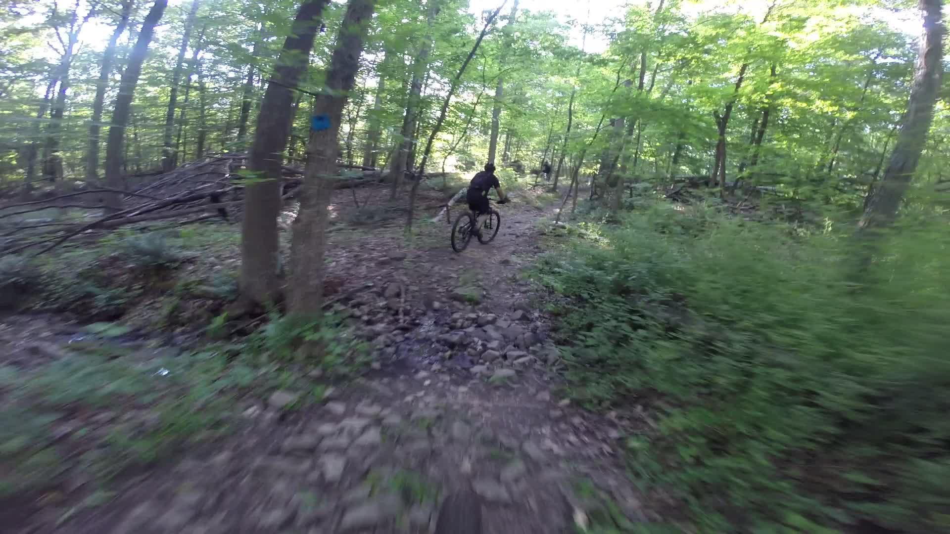 A person riding a mountain bike on a narrow, rocky trail through a dense, green forest. Sunlight filters through the trees, illuminating the path and surrounding foliage. Washington Valley mountain bike trail.
