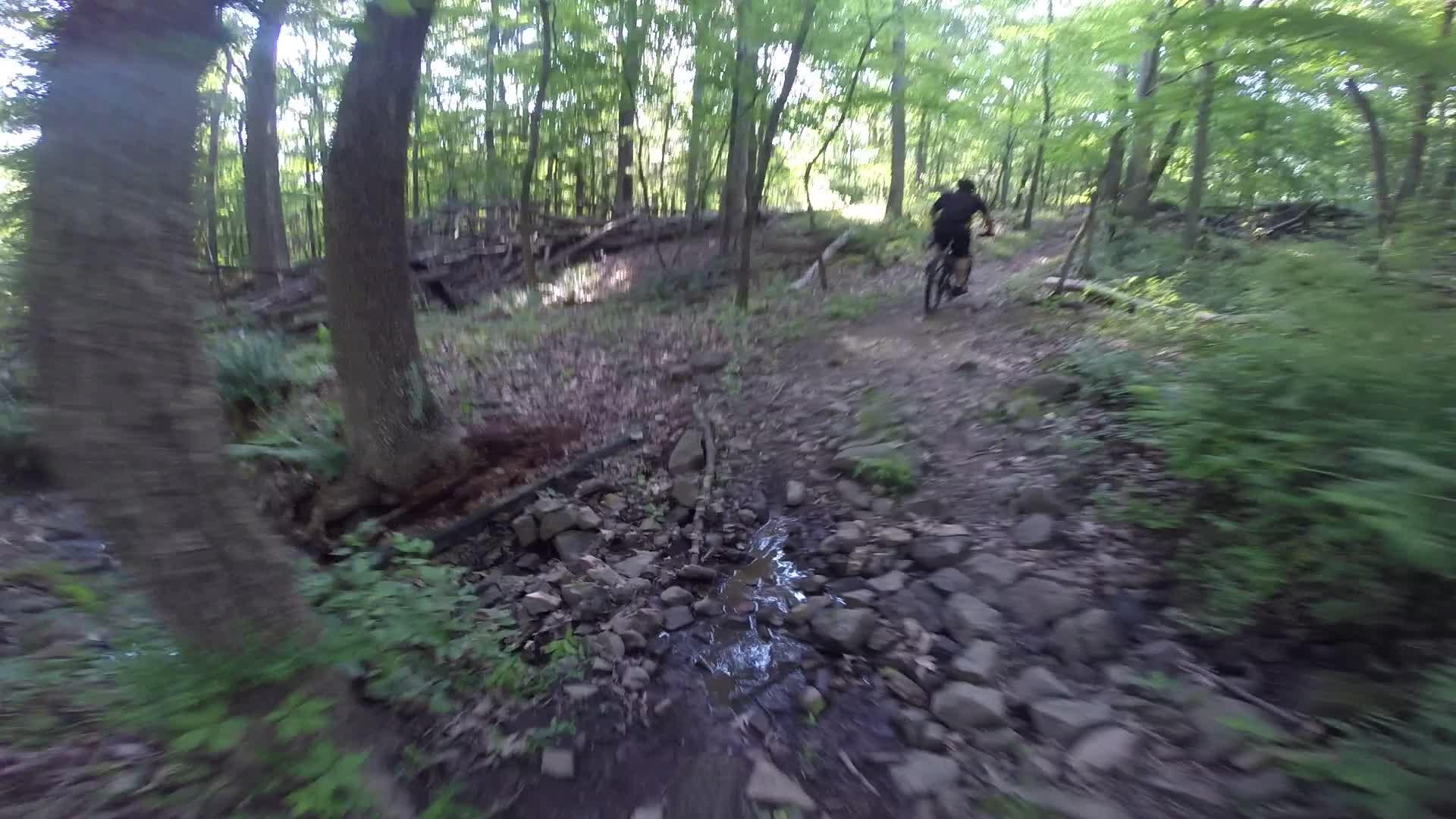 A person riding a mountain bike on a rocky, forested trail, surrounded by lush greenery and tall trees, with a small stream visible alongside the path. Washington Valley mountain bike trail.