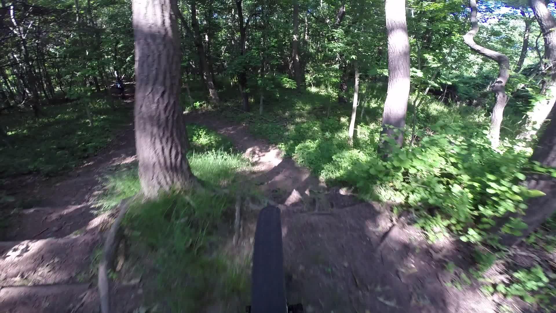 A view from the perspective of a cyclist riding down a narrow dirt trail surrounded by lush green trees and underbrush in a forested area. The trail is uneven, with roots and rocks visible, indicating a natural, rugged terrain suitable for mountain biking. Richmond Avenue and Forest Hill road mountain bike trail.