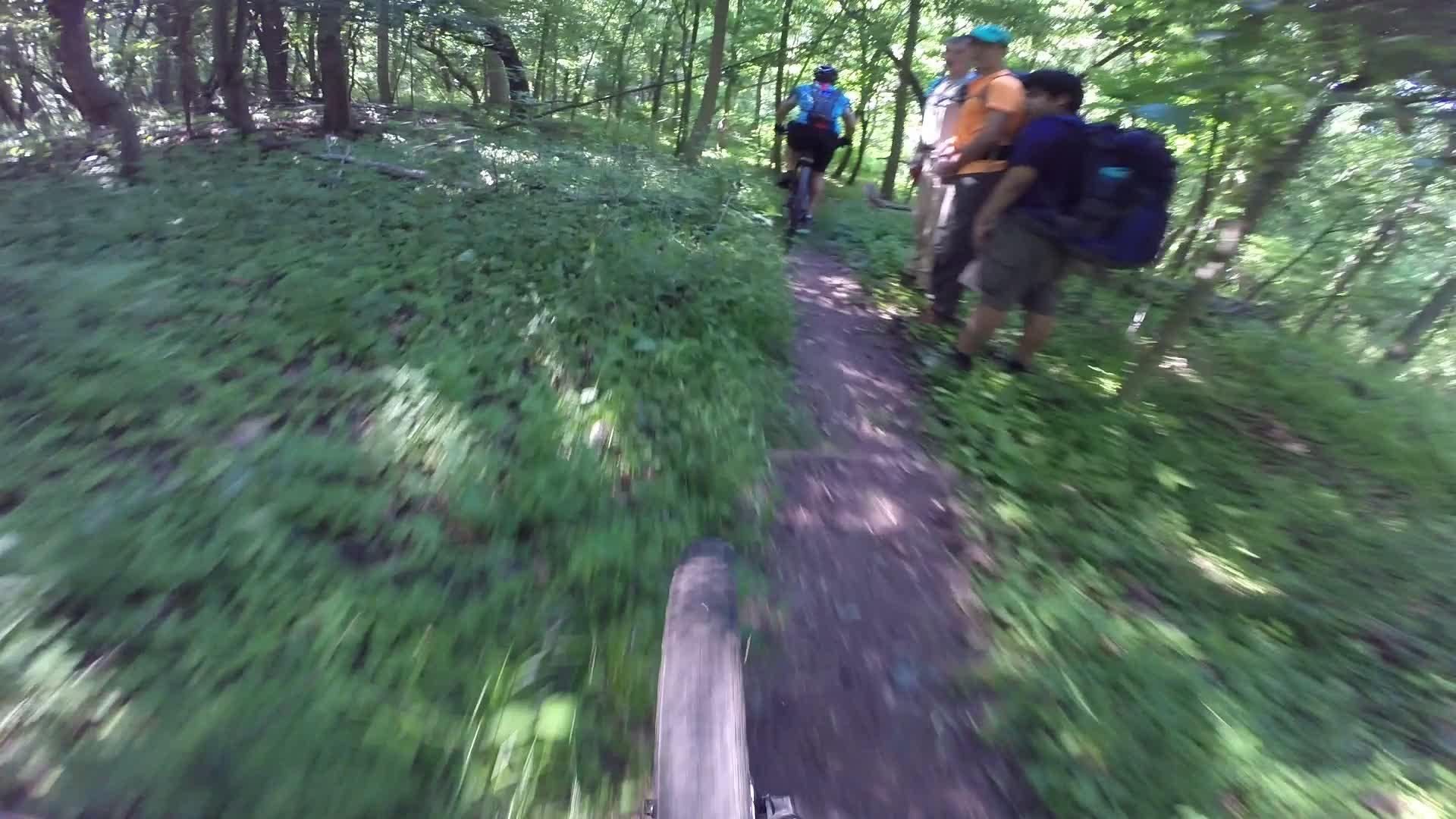 A mountain biker rides along a narrow dirt path surrounded by lush green vegetation in a forest. In the background, a group of hikers stands on the trail, one of whom is wearing an orange shirt and a blue hat. The scene captures the excitement of outdoor adventure in a vibrant, natural setting. Richmond Avenue and Forest Hill road mountain bike trail.