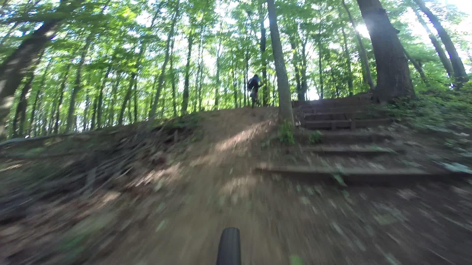 A cyclist descends a dirt trail in a dense forest, with sunlight filtering through the trees. The path has a steep incline and wooden steps visible in the background. Richmond Avenue and Forest Hill road mountain bike trail.