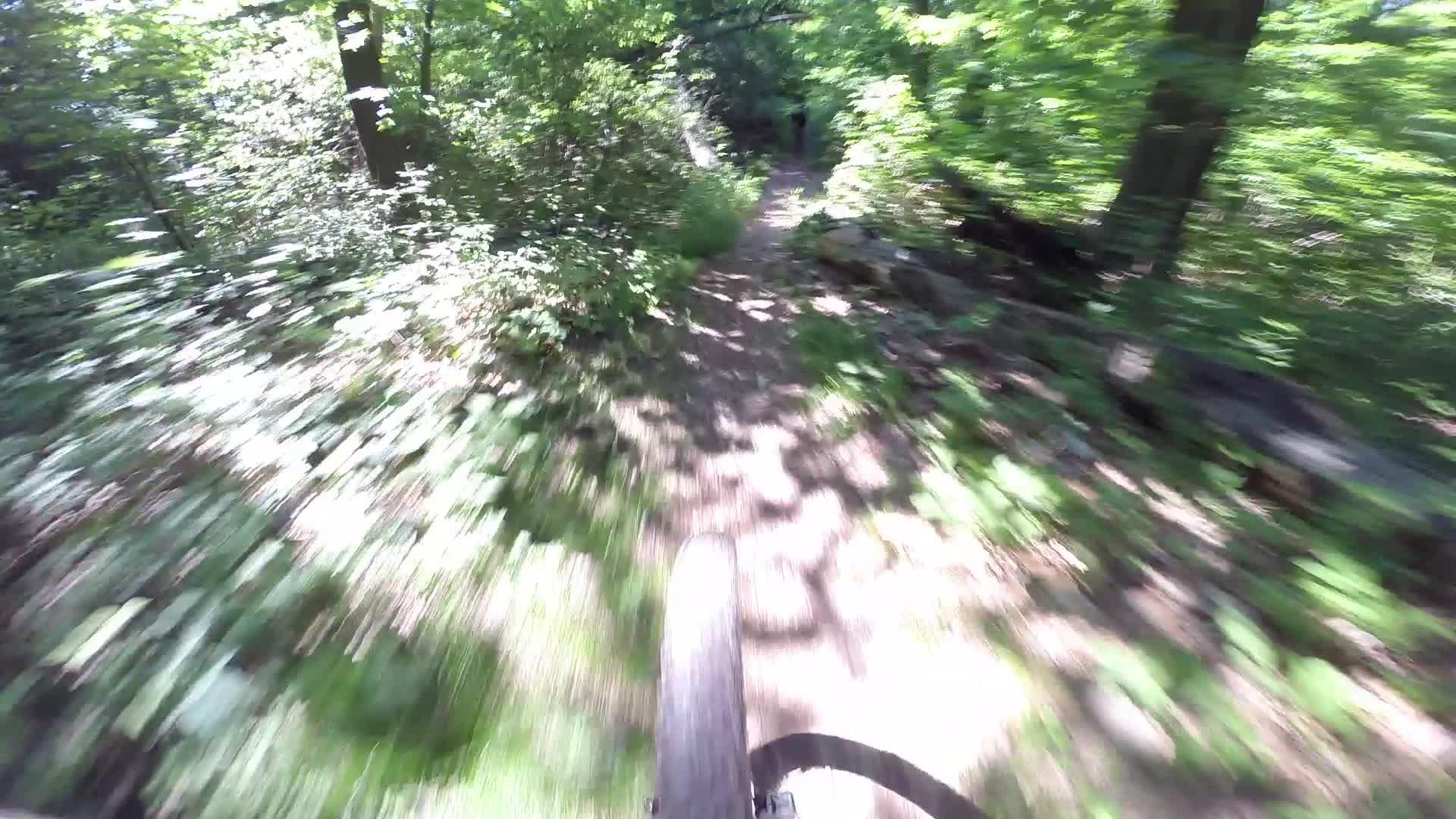 A blurred perspective of a mountain bike tire on a lush forest trail, surrounded by green foliage and sunlight filtering through the trees, suggesting a sense of speed and adventure. Richmond Avenue and Forest Hill road mountain bike trail.