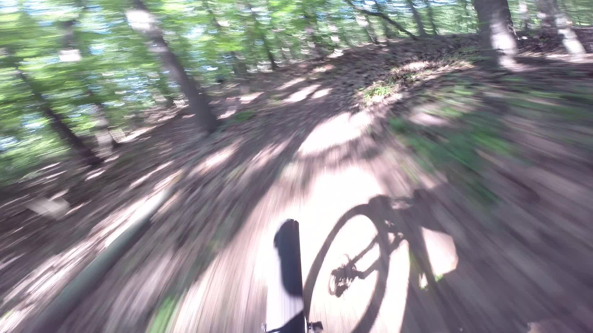 A blurred view of a bike tire rolling along a dirt path through a sunlit forest, with trees and foliage in the background, suggesting speed and motion. Richmond Avenue and Forest Hill road mountain bike trail.