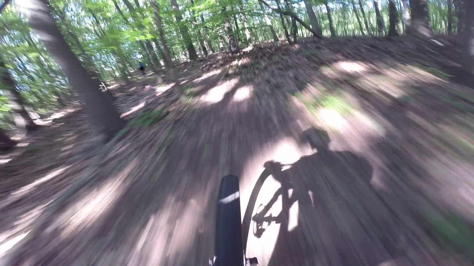 A blurred view of a forest trail from the perspective of a person riding a bicycle, with the tire in focus and sunlight filtering through the trees, creating a sense of motion and speed. Richmond Avenue and Forest Hill road mountain bike trail.