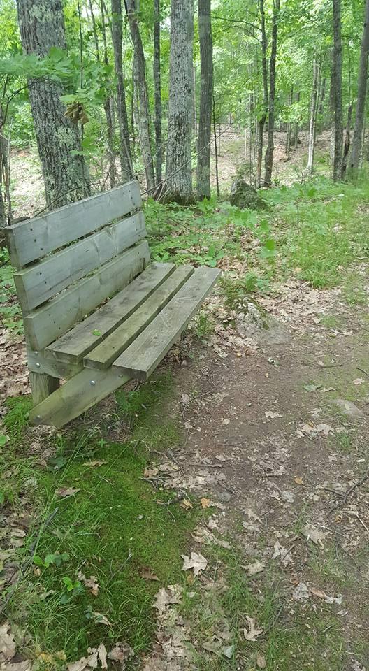 A rustic wooden bench situated along a forested path, surrounded by green foliage and trees. The ground is covered in leaves and moss, creating a natural, tranquil setting. Raven Trails mountain bike trail.