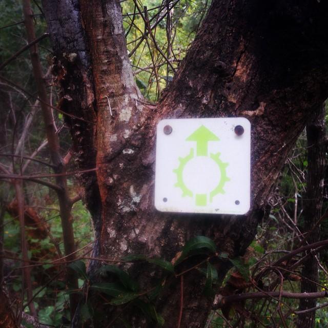 A green directional symbol on a white sign attached to a tree, featuring a gear shape and an upward arrow. The sign is partially obscured by branches and foliage in a wooded area. Sylaward mountain bike trail.