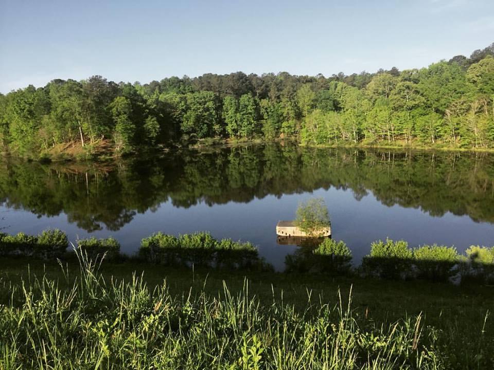 A tranquil view of a calm lake surrounded by lush greenery. Tall trees line the shore, reflecting in the water, creating a serene atmosphere. In the foreground, tall grass and bushes frame the scene, while a small structure is partially visible on the lake. The sky is clear and blue, suggesting a peaceful day. Sylaward mountain bike trail.