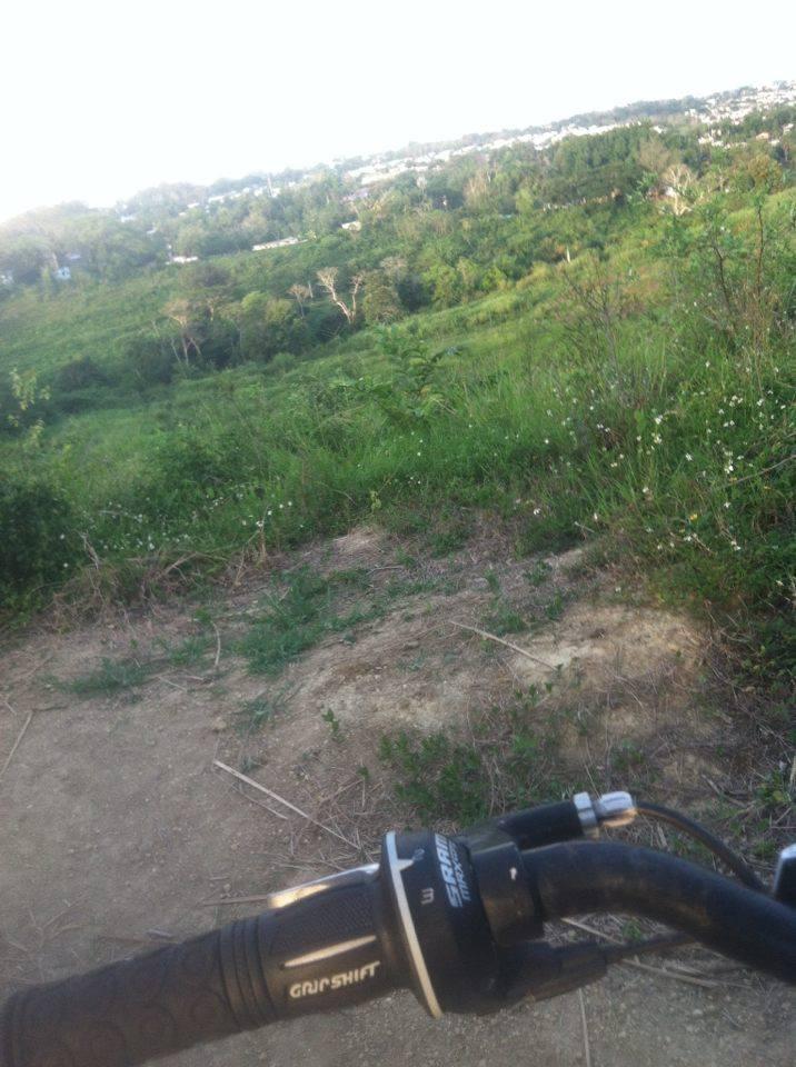 A close-up view of a bicycle handlebar on a dirt path, with a lush green hillside and distant trees in the background under a clear sky. The scene captures the natural landscape, evoking a sense of outdoor adventure. Monte Realengo mountain bike trail.