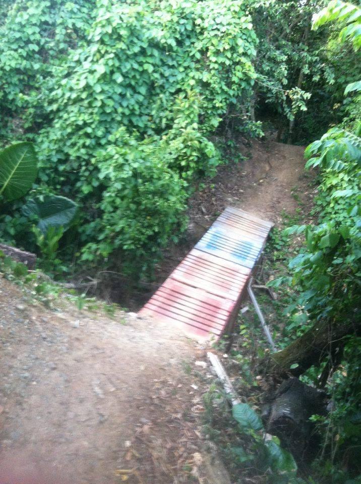 A narrow footbridge made of wooden planks crosses a small ravine in a dense, green forest. The bridge is partially covered in graffiti, and lush vegetation surrounds the pathway, creating a scenic, natural setting. Monte Realengo mountain bike trail.