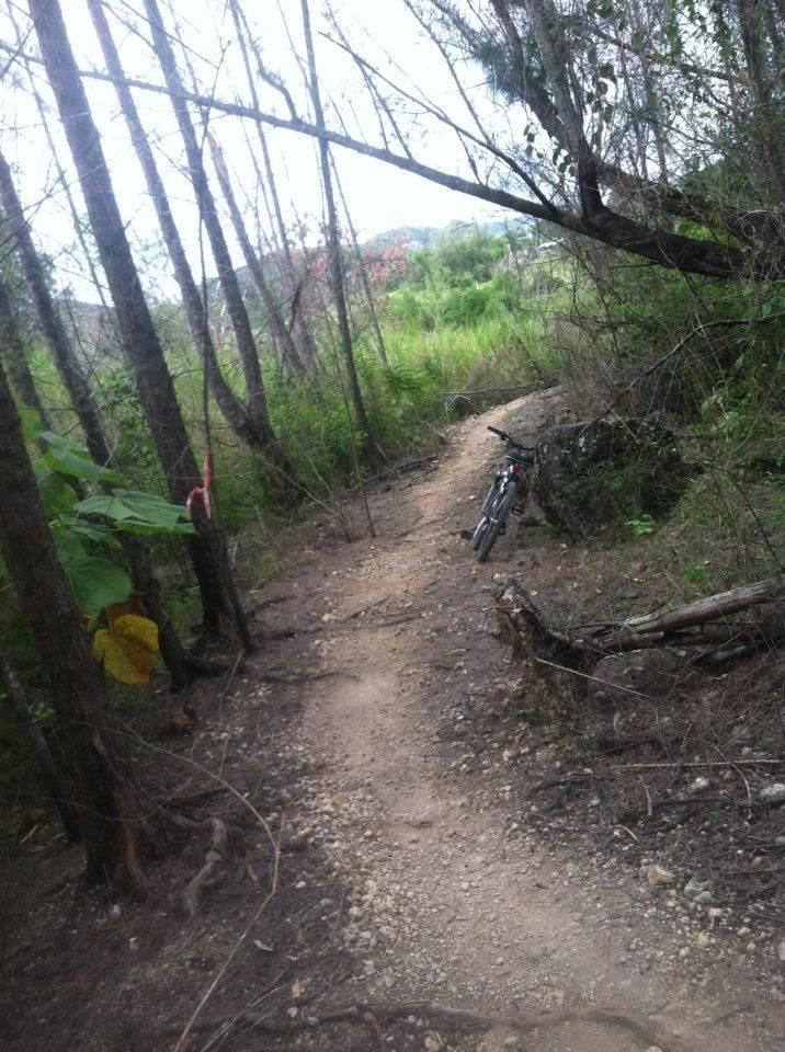 A narrow dirt path winding through a forested area, flanked by trees and lush greenery. A bicycle is leaning against a rock on the side of the trail, which is lined with pebbles and roots. The scene is slightly overcast, creating a tranquil, nature-filled atmosphere. Monte Realengo mountain bike trail.