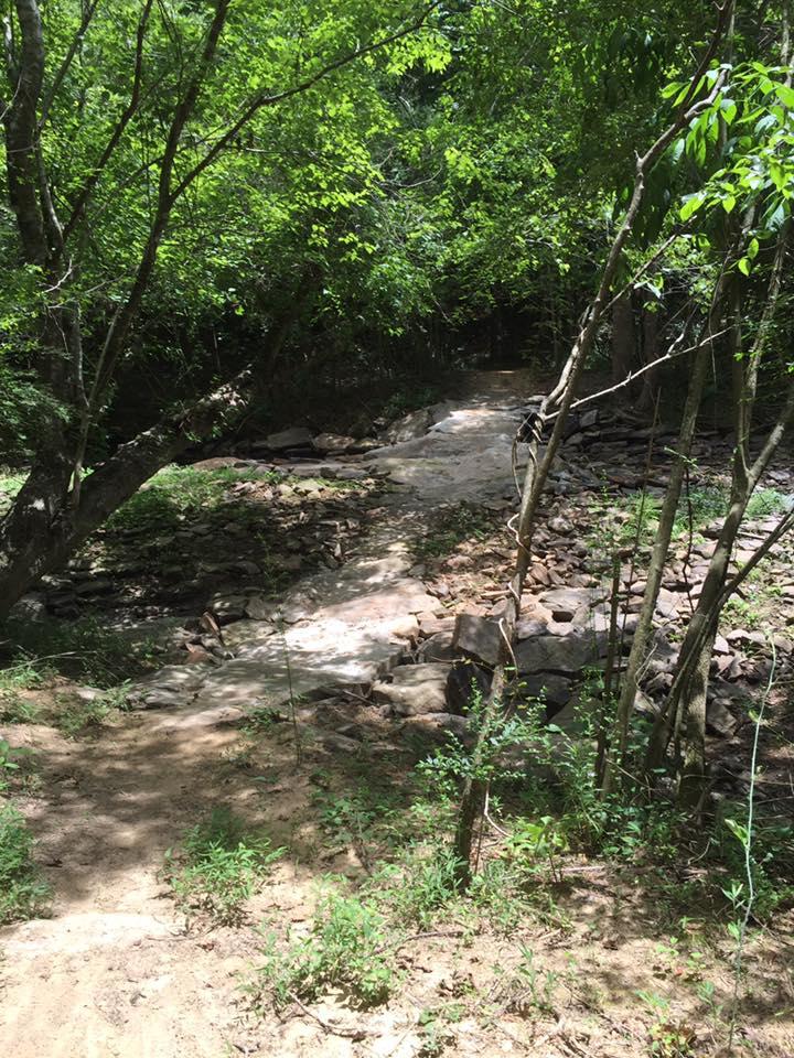 A serene natural landscape featuring a small creek winding through a wooded area. The scene is surrounded by lush green trees and underbrush, with scattered rocks along the water's edge. Sunlight filters through the leaves, casting dappled light on the ground. Duck River mountain bike trail.
