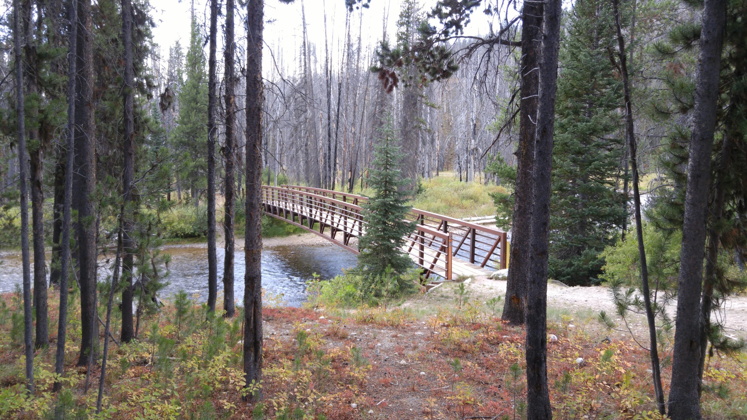 A wooden bridge spanning a river, surrounded by trees in a forested environment. The landscape features a mix of evergreen and leafless trees, indicating a natural setting with changing seasons. The ground is covered with autumn foliage and shrubs, enhancing the scenic beauty of the area. Secesh River Trail #80 mountain bike trail.