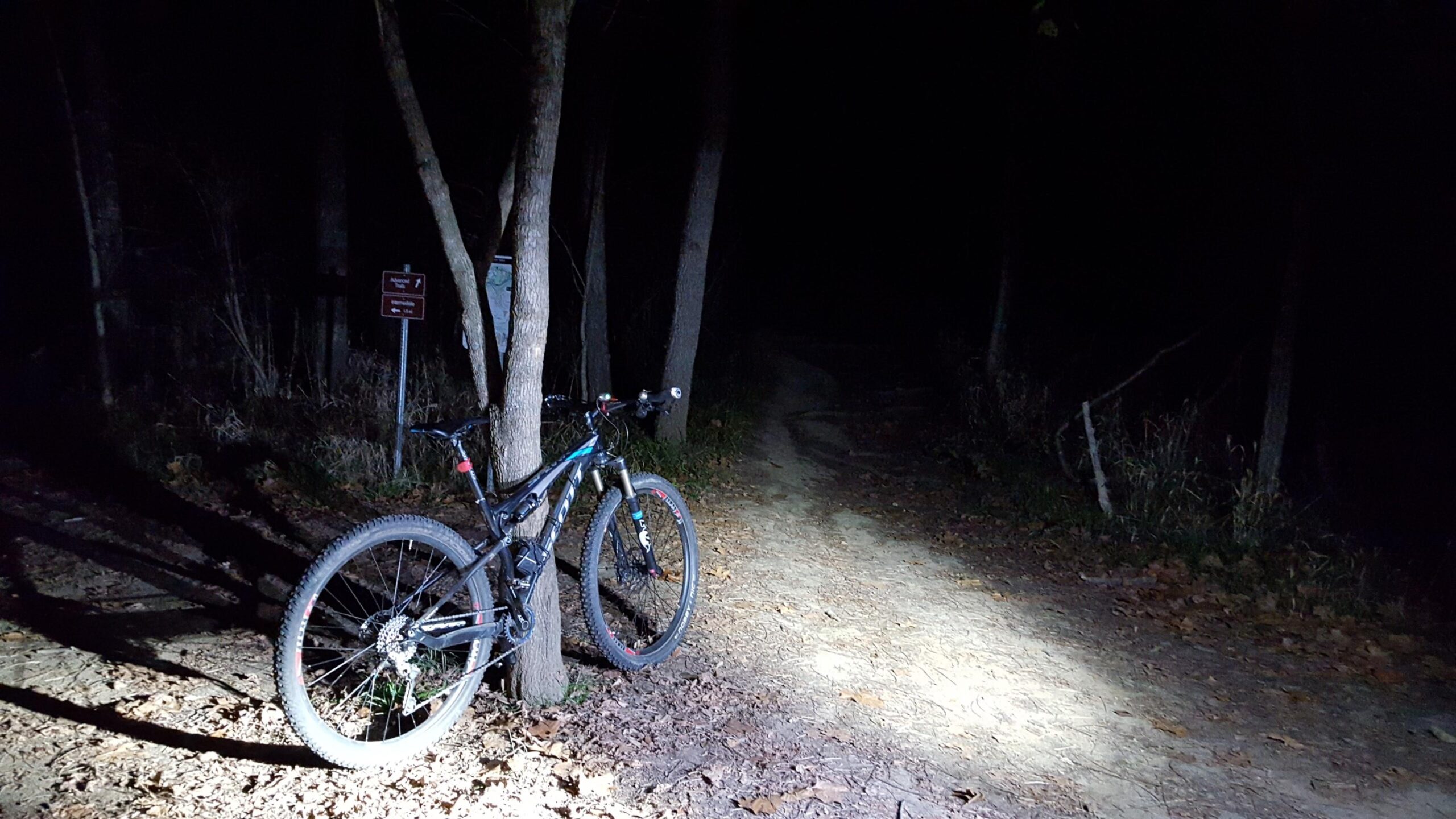 A mountain bike leaning against a tree on a dark trail, illuminated by a strong light source, with a sign visible in the background indicating a path direction. The surrounding area features trees and fallen leaves. England Idlewild Mountain Biking Park mountain bike trail.