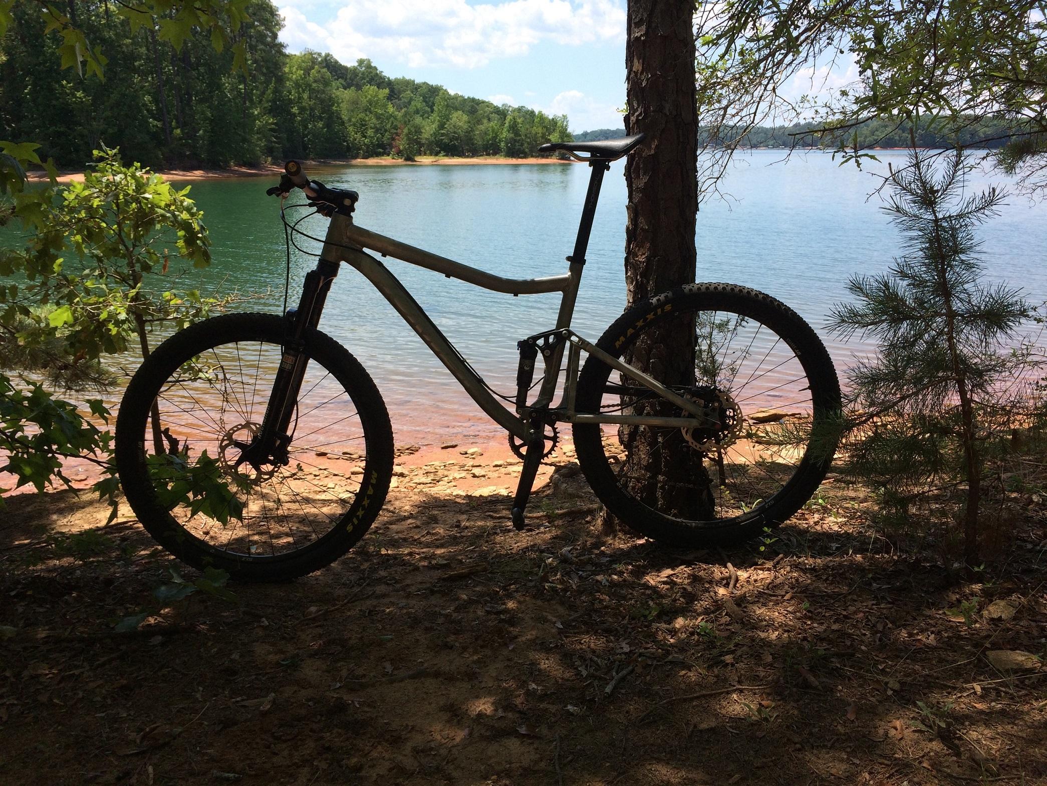 Turner Flux: A mountain bike leaning against a tree near a calm lake, with greenery surrounding the area and a sandy shoreline in the background. The scene is bright and inviting, capturing a perfect day for outdoor activities.