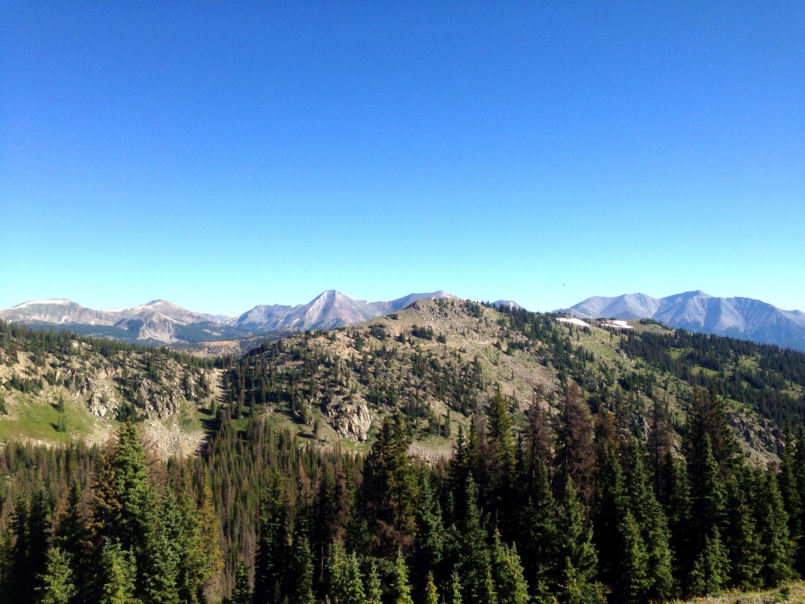 A panoramic view of a mountainous landscape featuring rolling hills covered with dense pine forests, with rocky peaks in the background under a clear blue sky. Monarch Crest Trail mountain bike trail.