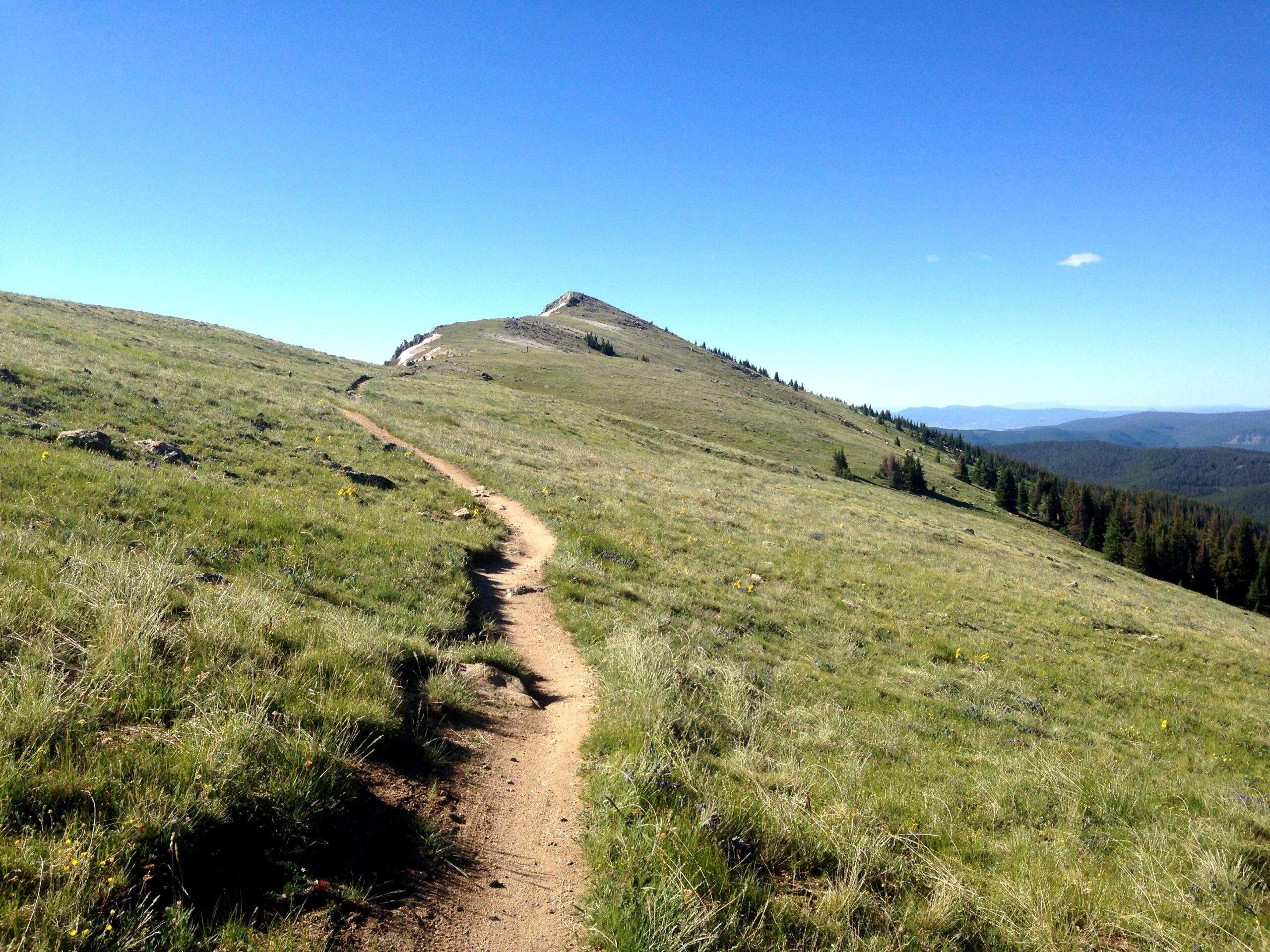 A scenic mountain path winding through a grassy landscape, leading toward a rocky peak under a clear blue sky. Monarch Crest Trail mountain bike trail.