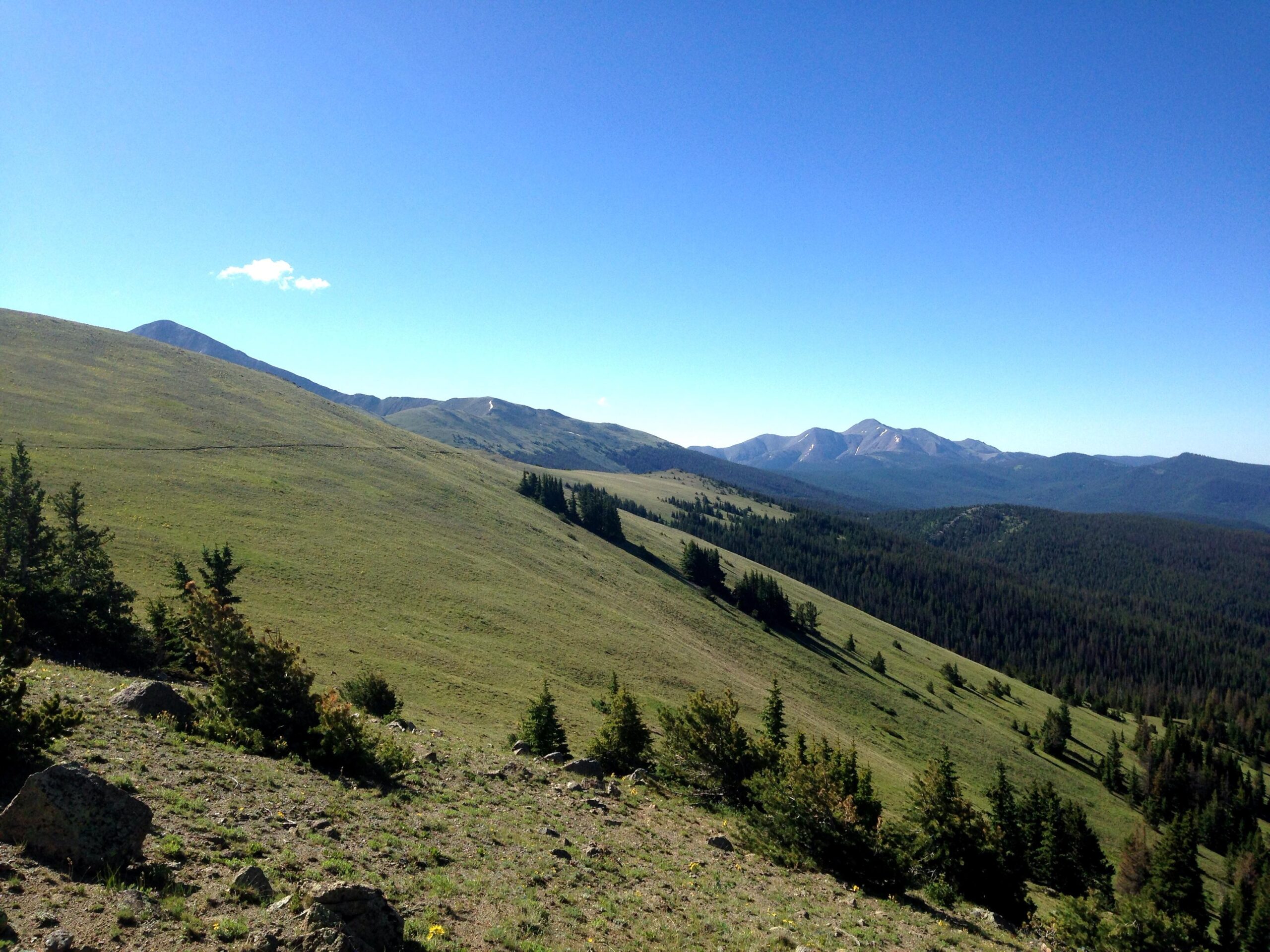 A panoramic view of rolling green hills and distant mountains under a clear blue sky. The foreground features scattered rocks and clusters of evergreen trees, while the background showcases a range of mountains with varying elevations. The scene conveys a sense of tranquility and natural beauty. Monarch Crest Trail mountain bike trail.