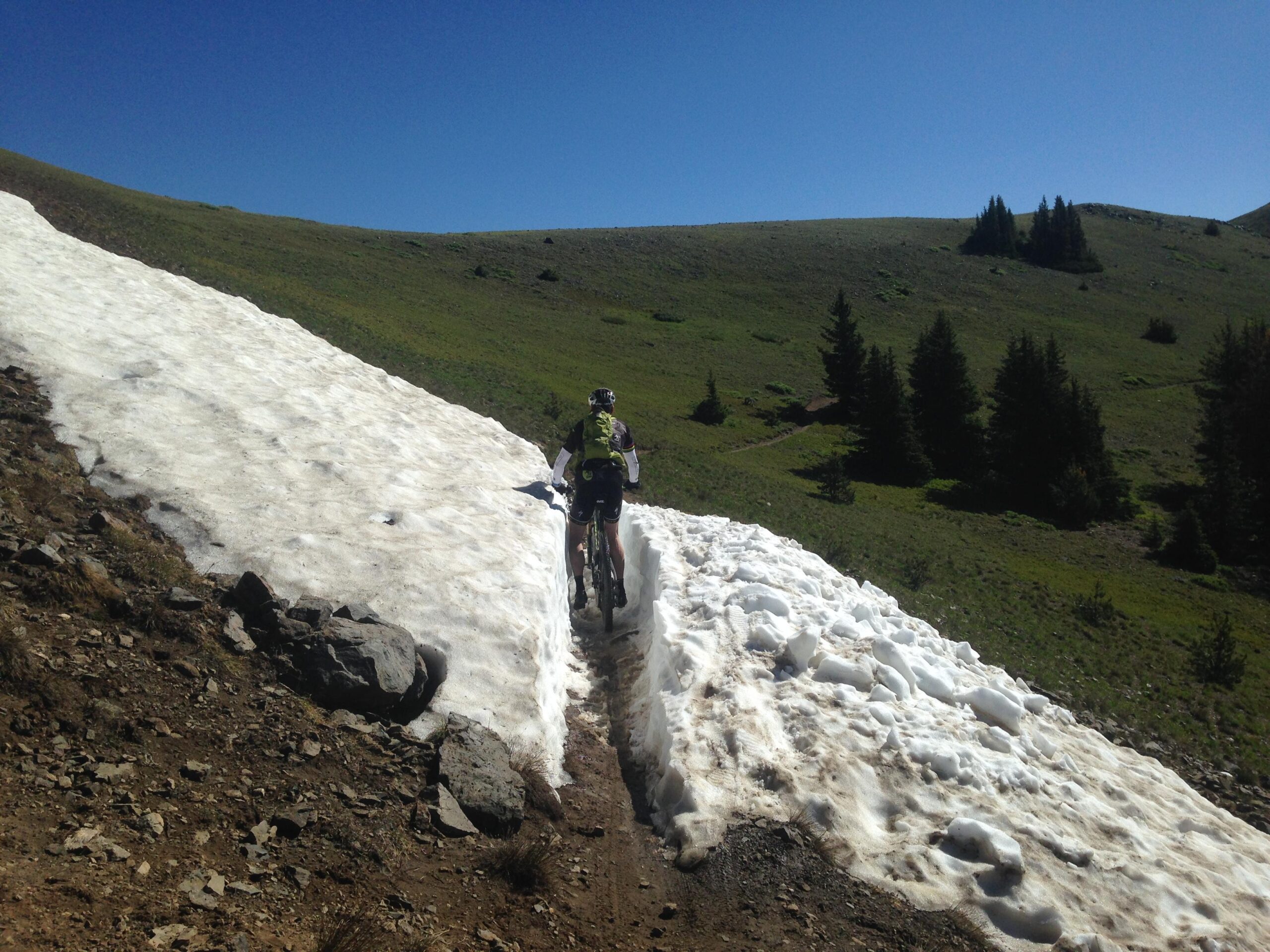 A person riding a mountain bike on a narrow dirt path bordered by a strip of snow, surrounded by lush green hills and conifer trees. The sky is clear and blue, indicating a sunny day. Monarch Crest Trail mountain bike trail.