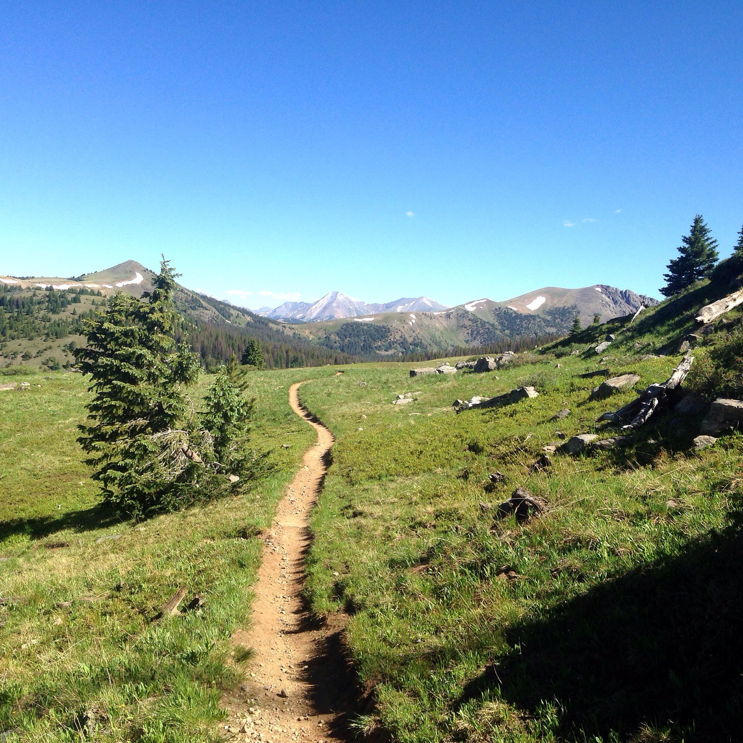 A winding dirt trail leads through a grassy meadow, bordered by sparse trees and rocky outcrops. In the background, majestic mountains rise against a bright blue sky, some peaks capped with snow. The scene conveys a sense of tranquility and natural beauty. Monarch Crest Trail mountain bike trail.