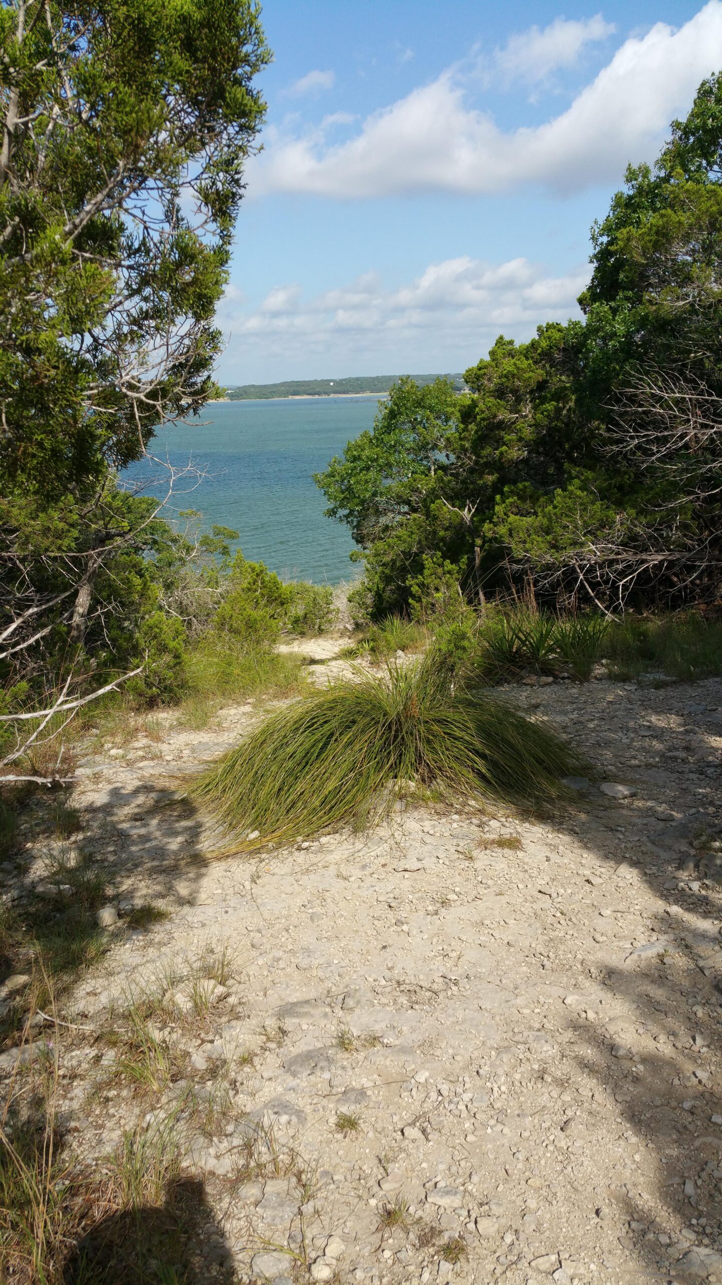 A narrow dirt path leading down to a blue body of water, surrounded by greenery and trees under a partly cloudy sky. Madrone Trail mountain bike trail.
