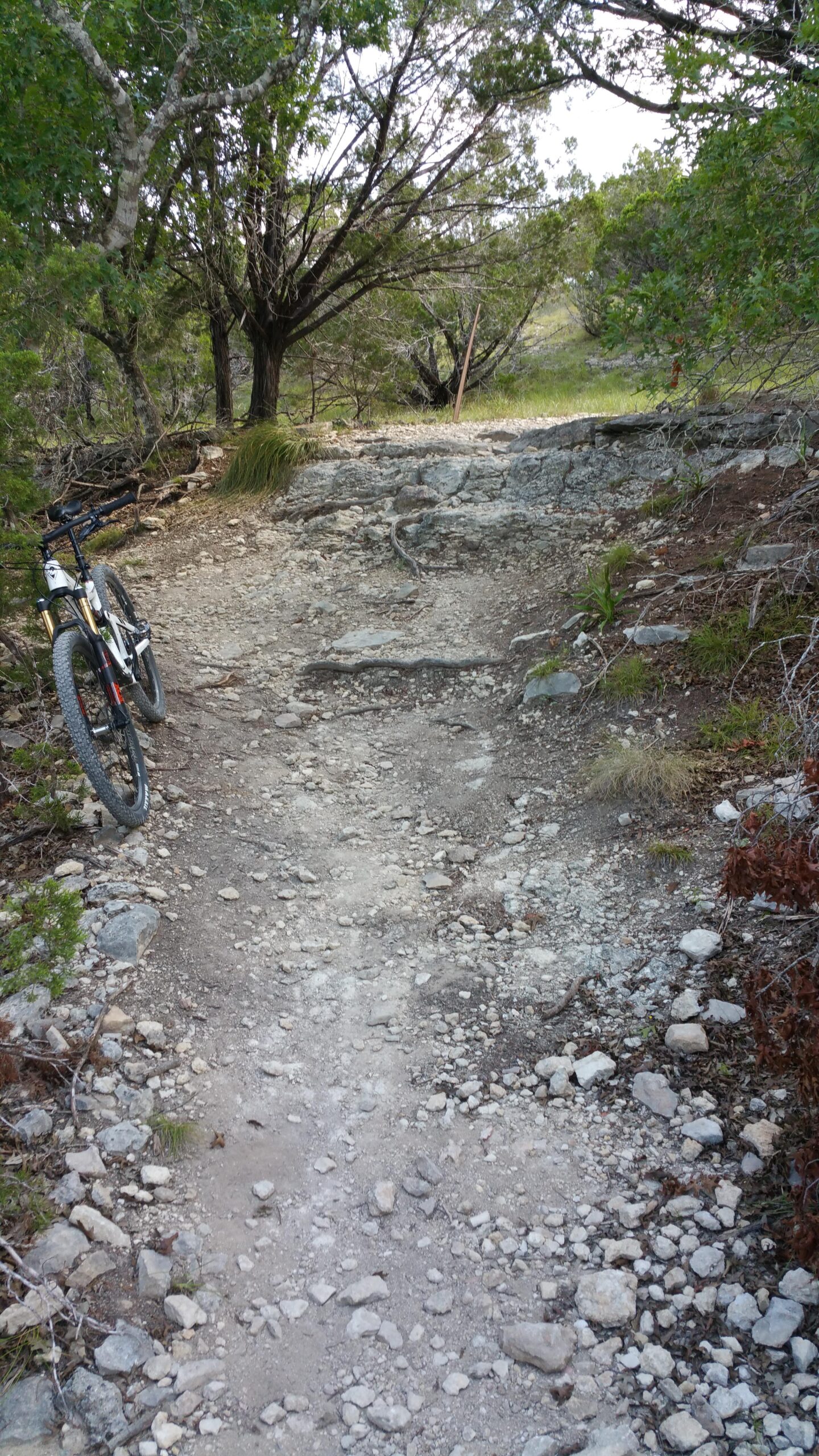A rocky mountain biking trail surrounded by trees and shrubbery, with a bicycle resting on the left side of the path. The trail is uneven and consists of loose stones and dirt, leading into a natural landscape. Madrone Trail mountain bike trail.
