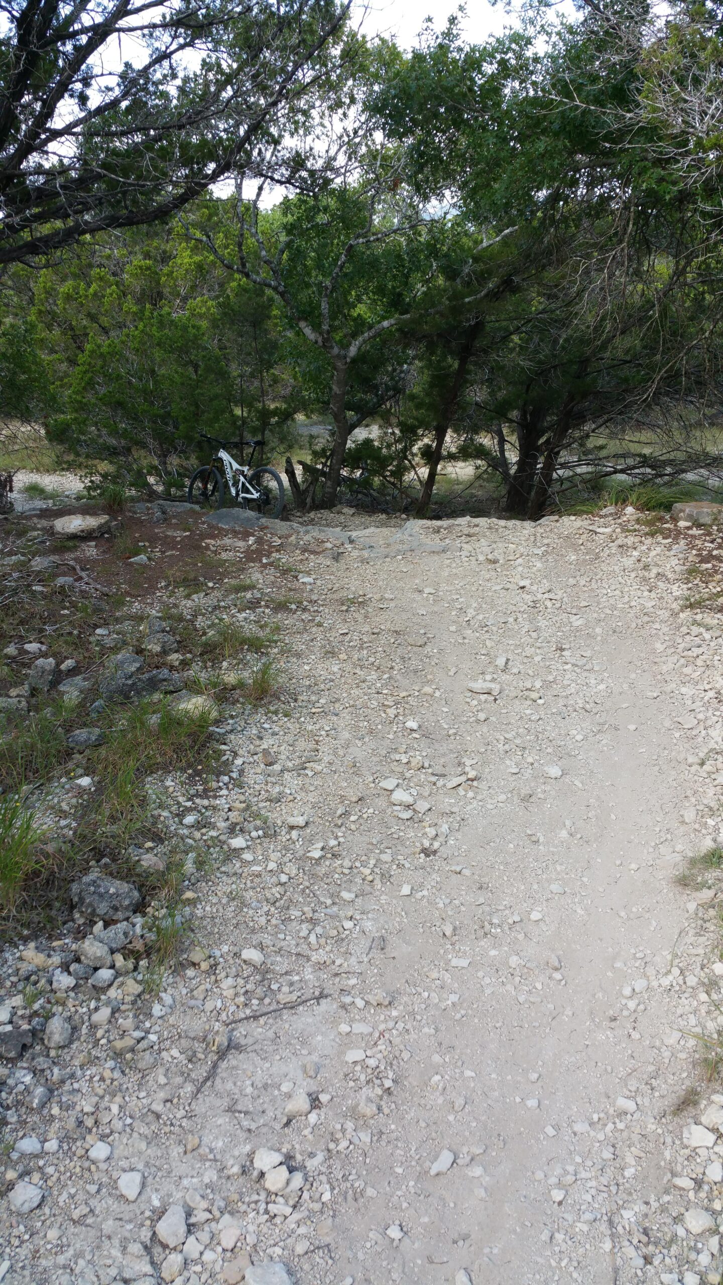A gravelly dirt path winding through a forested area, with several rocks lining the sides and lush green trees in the background. A white bicycle is partially visible off to the left, leaning against a tree. Madrone Trail mountain bike trail.