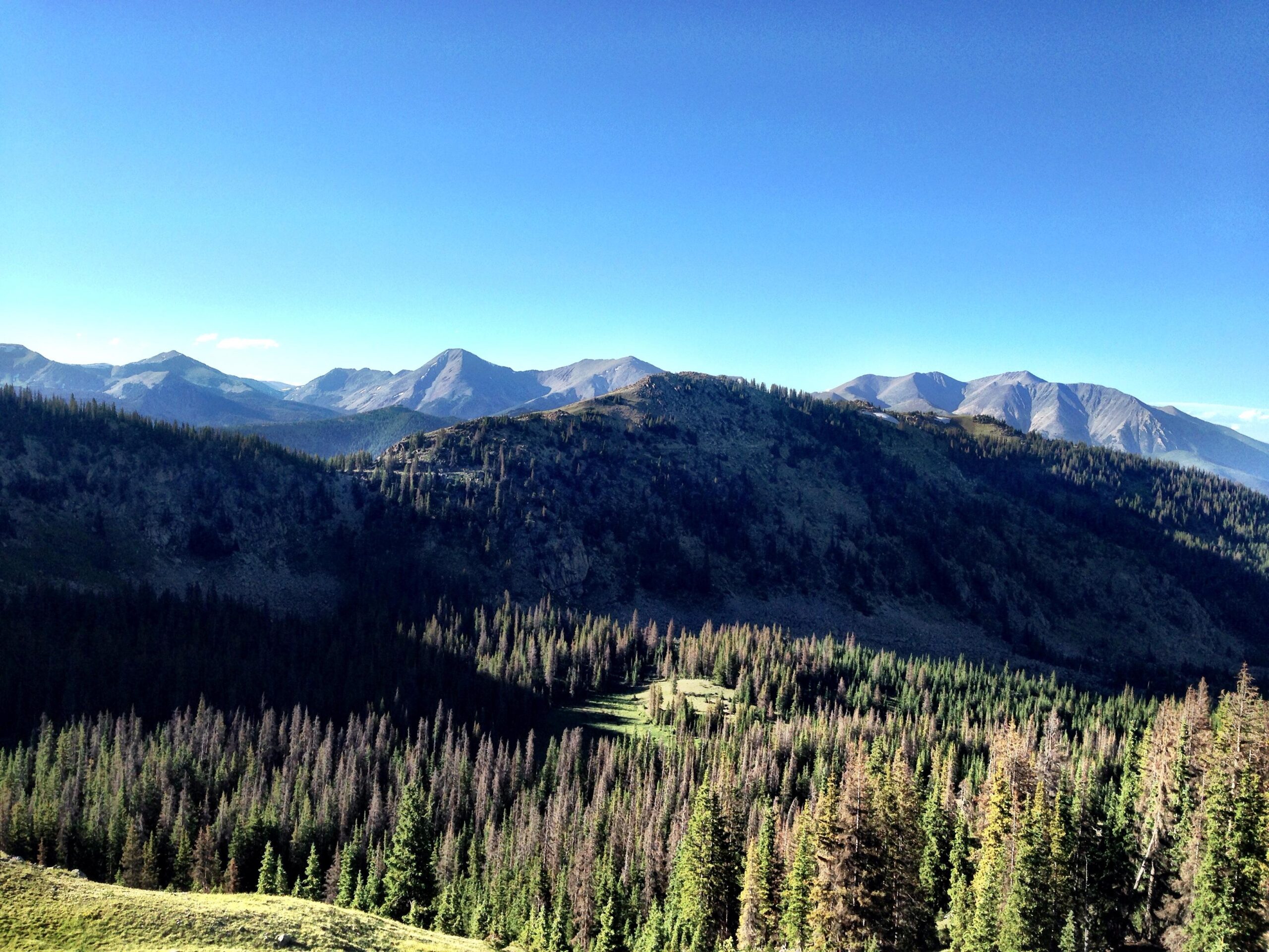 A panoramic view of a mountainous landscape featuring lush green forests and rugged peaks under a clear blue sky. The foreground showcases a dense forest, while the background reveals distant mountains, creating a picturesque nature scene. Monarch Crest Trail mountain bike trail.