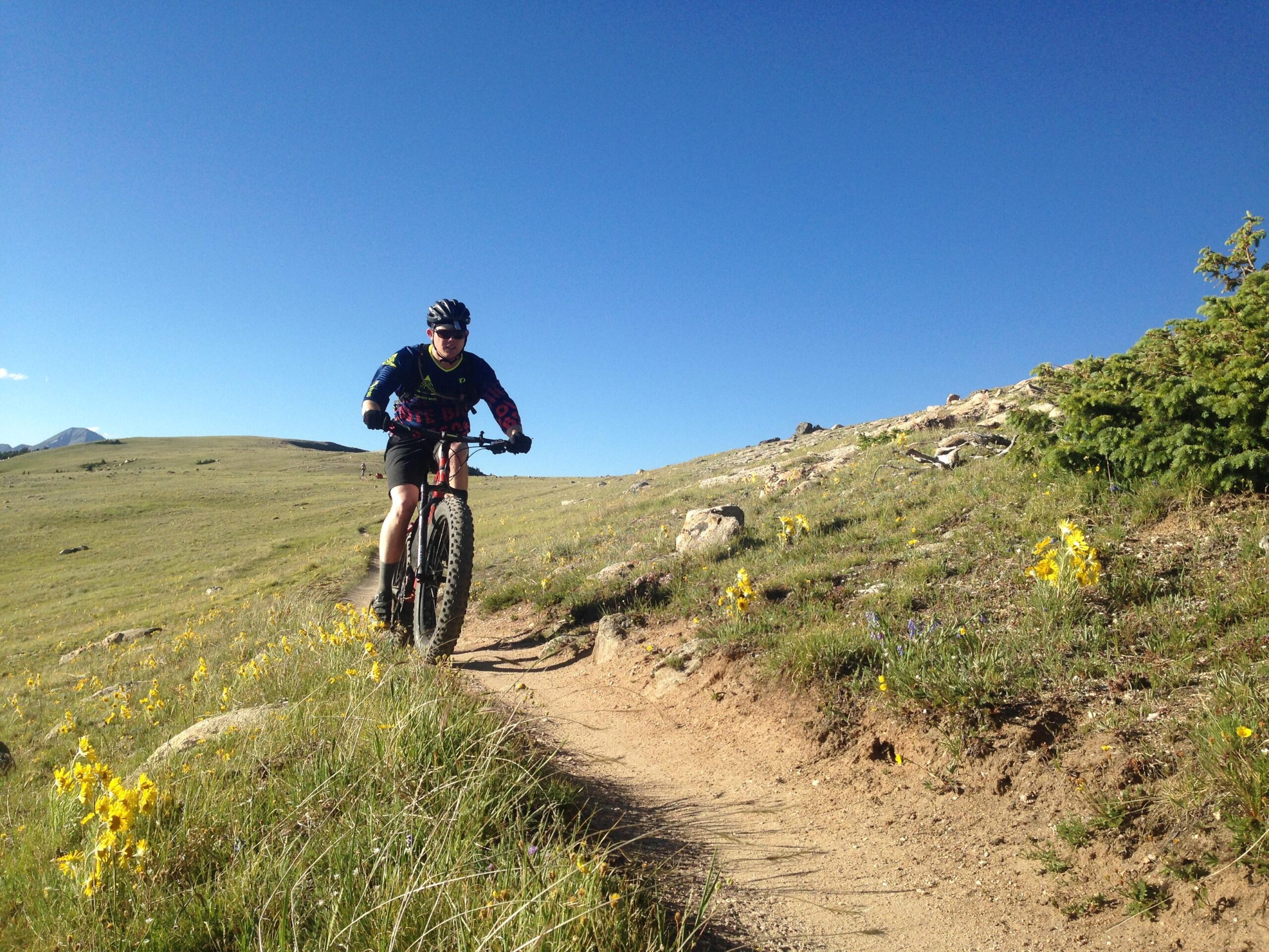 A mountain biker riding on a dirt trail surrounded by green grass and yellow wildflowers, with a clear blue sky in the background. Monarch Crest Trail mountain bike trail.