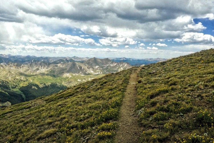 A winding dirt trail leads through a lush, green mountainside, dotted with vibrant wildflowers, while towering mountain peaks and a bright, partly cloudy sky create a stunning backdrop.