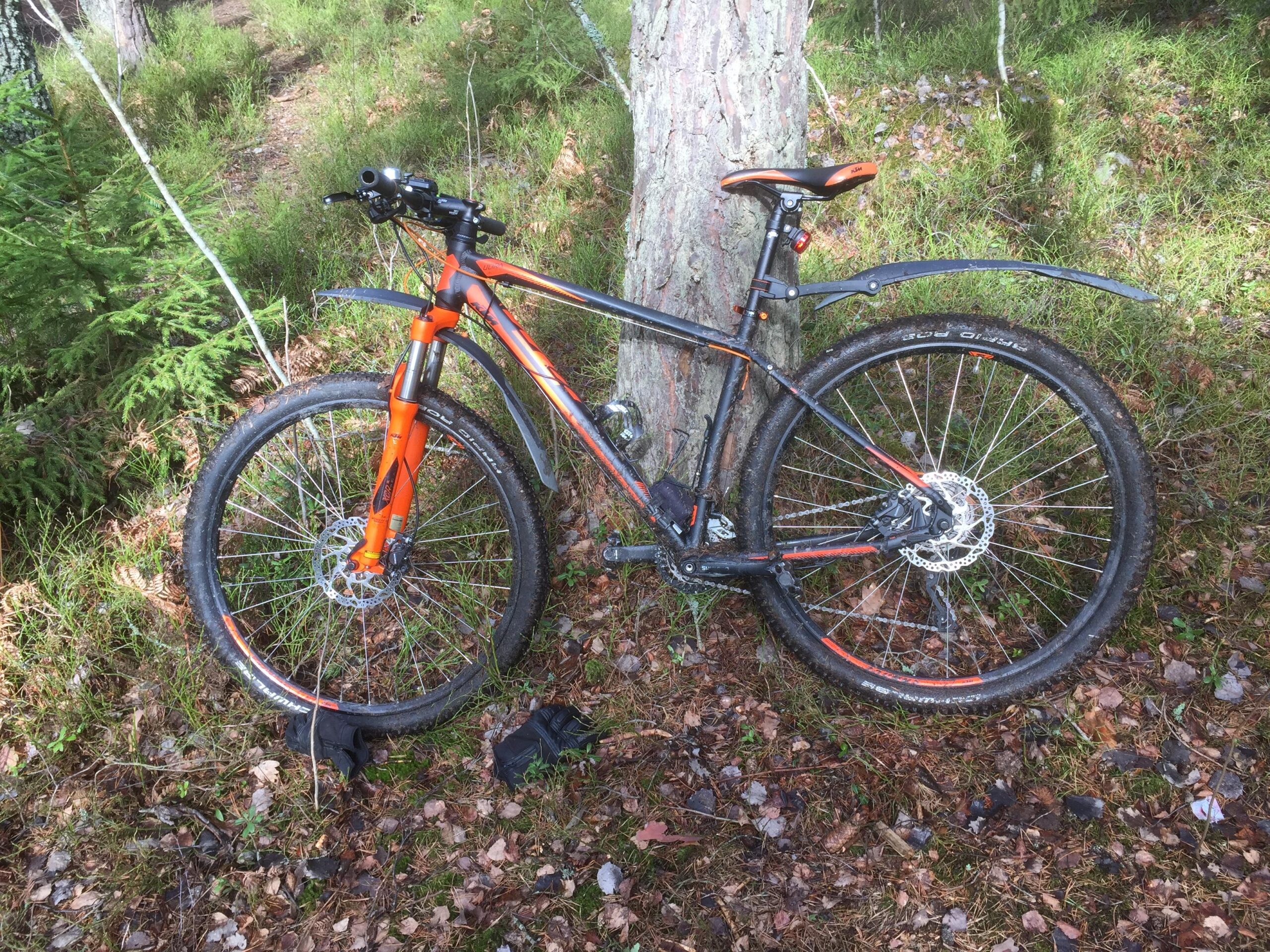 KTM Ultra Fire 29: A mountain bike with an orange and black frame is leaning against a tree in a forested area. The ground is covered with fallen leaves and small plants, while additional foliage can be seen in the background.