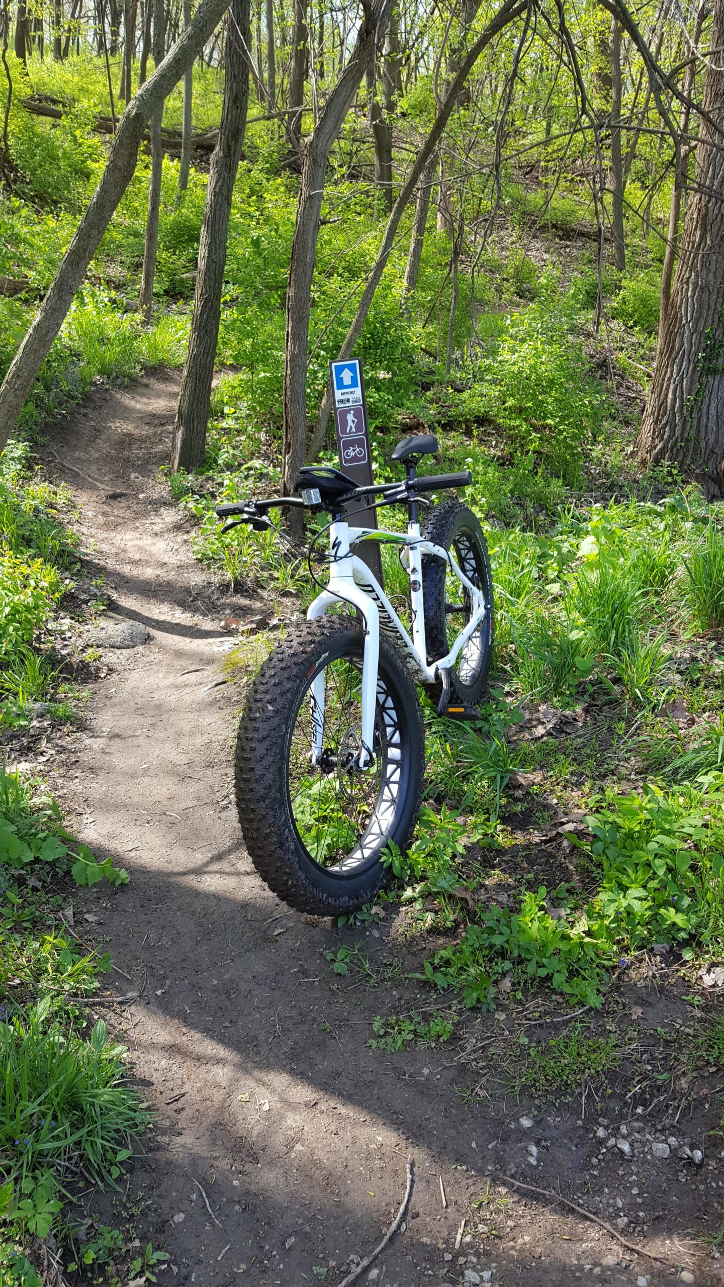 A white fat bike parked on a dirt trail surrounded by lush green foliage and trees, with a directional trail sign indicating paths for pedestrians and cyclists in the background. Jewel Park mountain bike trail.