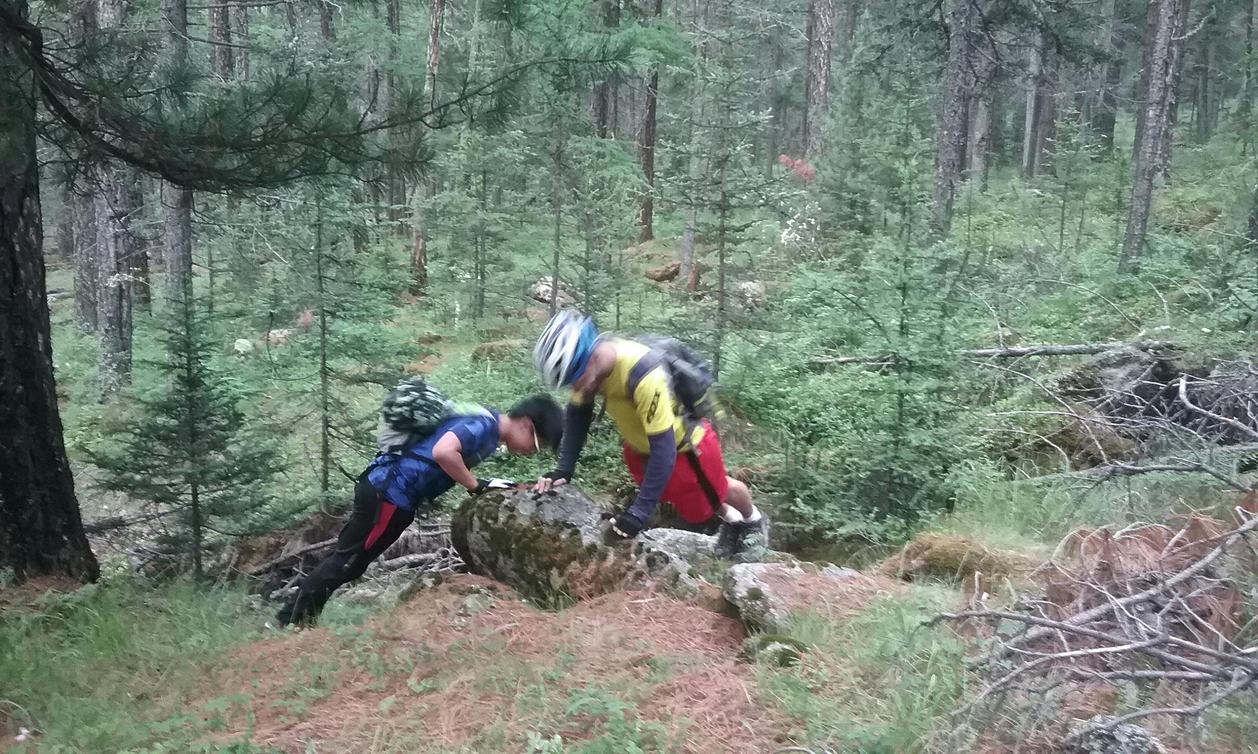 Two individuals are engaged in a climbing workout on a large rock in a dense forest setting. One person is performing a push-up on the rock, while the other is in a crouched position nearby, both surrounded by tall trees and greenery. Pine needles and underbrush are visible on the forest floor. Chuluut Am mountain bike trail.