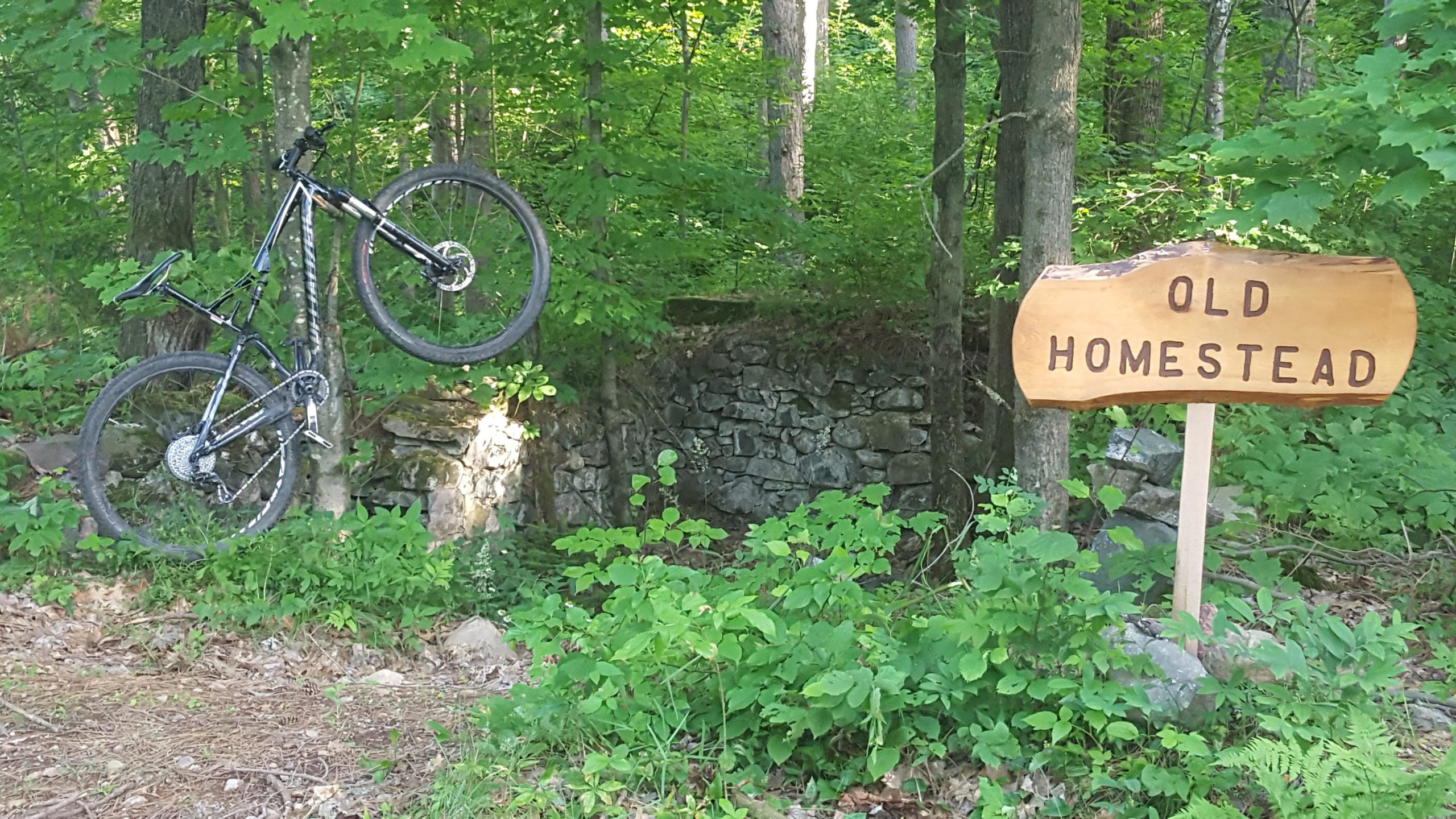 A black mountain bike leaning against a tree in a wooded area, with a wooden sign labeled "OLD HOMESTEAD" visible nearby. The surroundings are lush with green foliage and a stone structure partially hidden in the underbrush. The Underdown mountain bike trail.