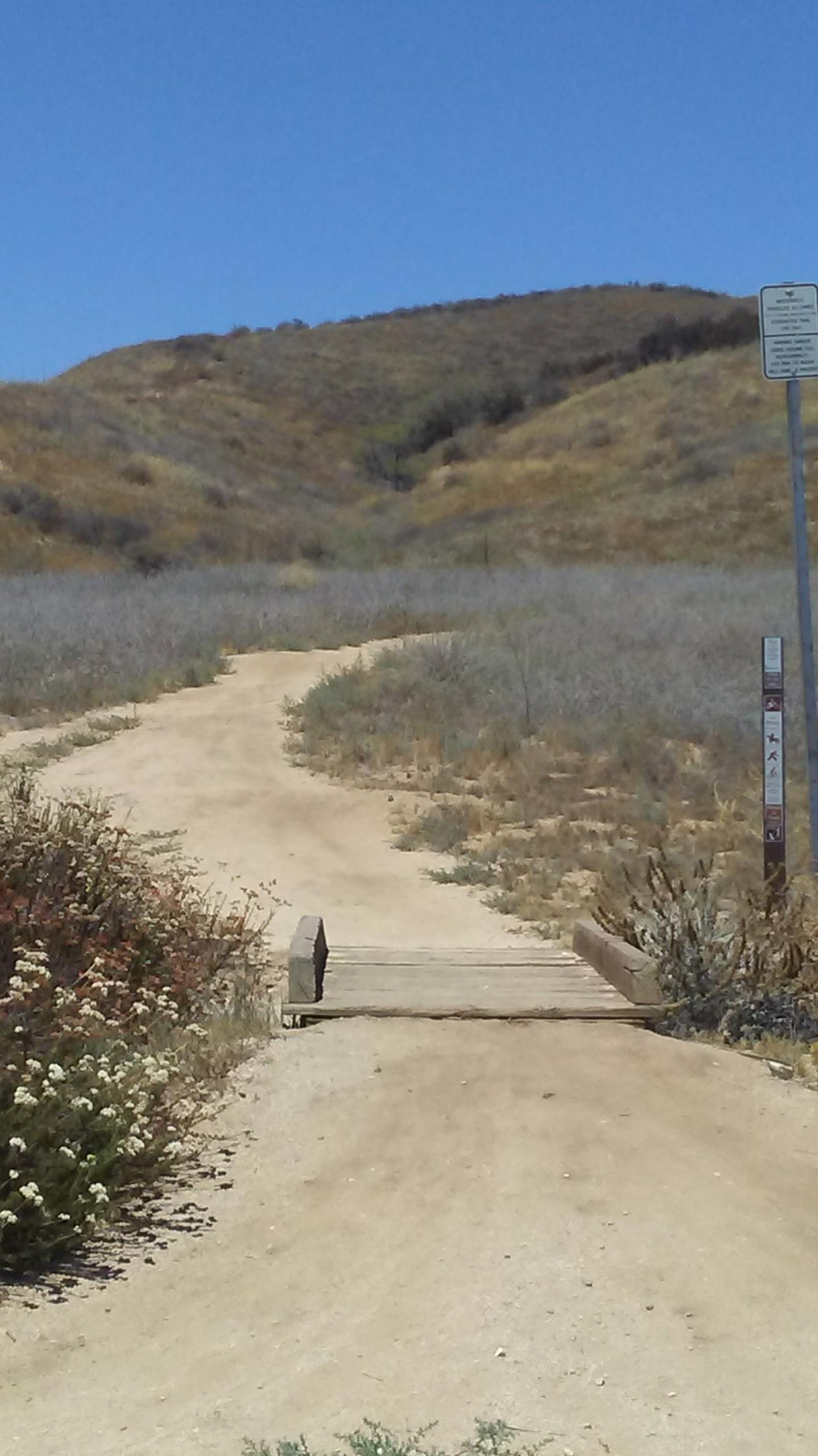 A winding dirt trail leads through a landscape of dry grasses and shrubs, with a low wooden bridge crossing over a small ditch. In the background, a gentle hillside rises against a clear blue sky, partially obscured by sparse vegetation. A trail marker can be seen to the right of the path. Crafton Hill Ridge Trail mountain bike trail.