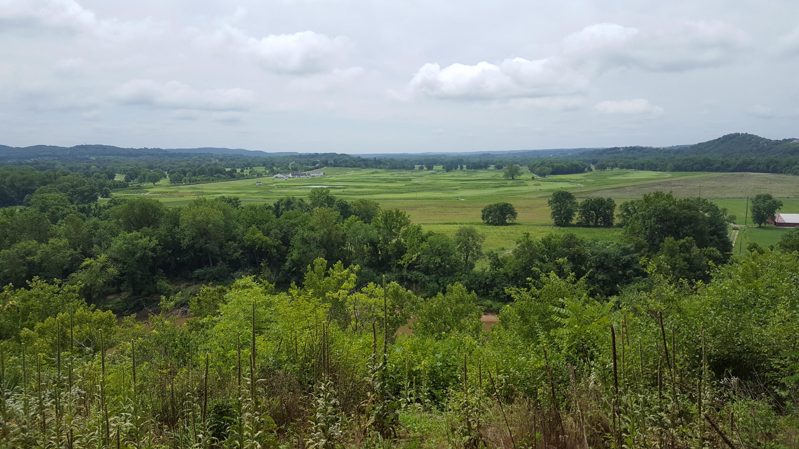 A scenic view of rolling green fields and trees, with a cloudy sky overhead. The landscape includes patches of farmland and a winding road, set against a backdrop of distant hills. The foreground features various plants and foliage, suggesting a vibrant natural environment. Bluffview trail mountain bike trail.