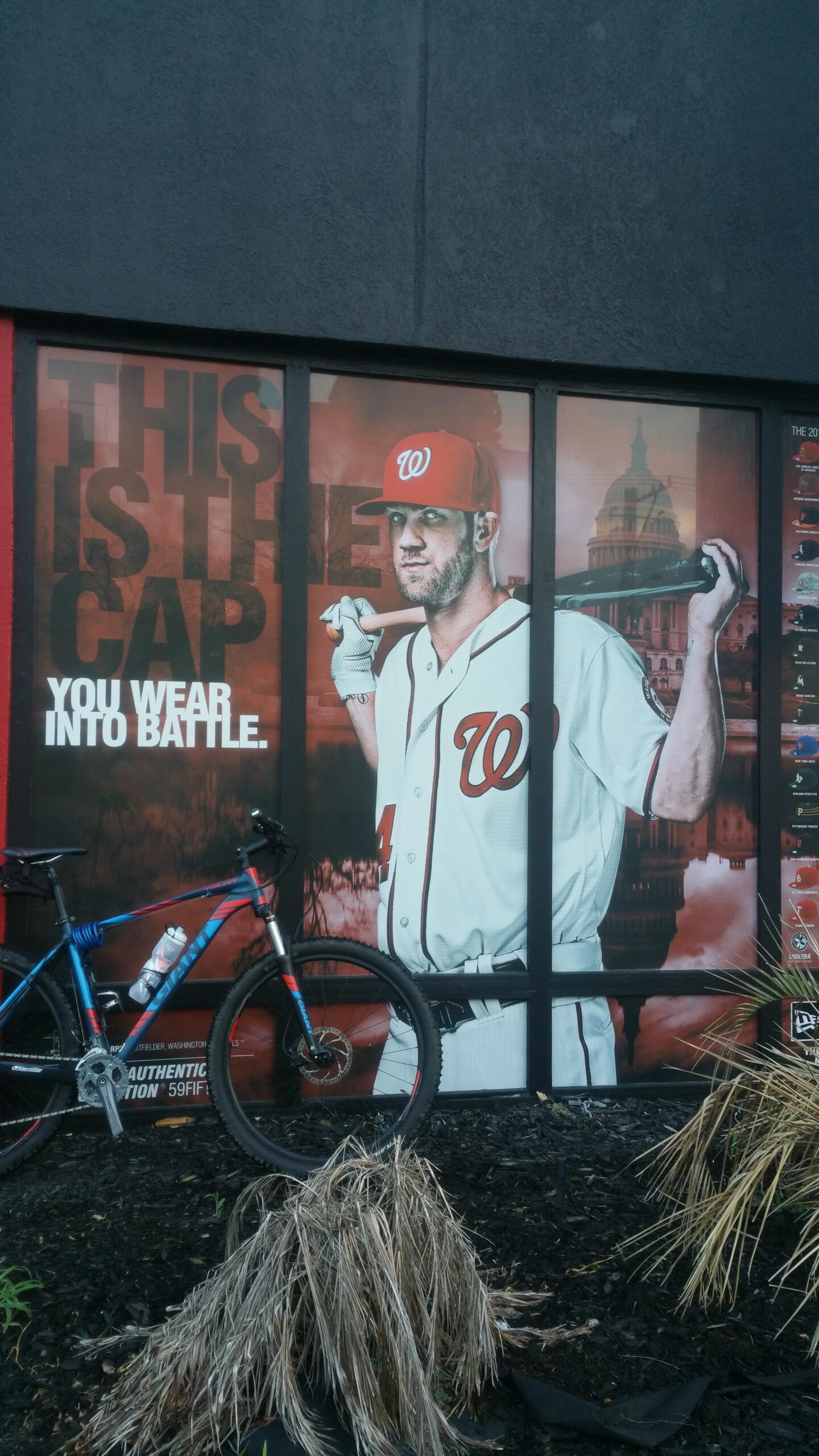 Giant Talon 29er: A large promotional poster on a storefront featuring a baseball player in a Washington Nationals uniform holding a bat. The text reads: "THIS IS THE CAP YOU WEAR INTO BATTLE." A blue mountain bike is parked in front of the poster, with some dried plant material on the ground nearby. The backdrop includes the silhouette of a historical building.